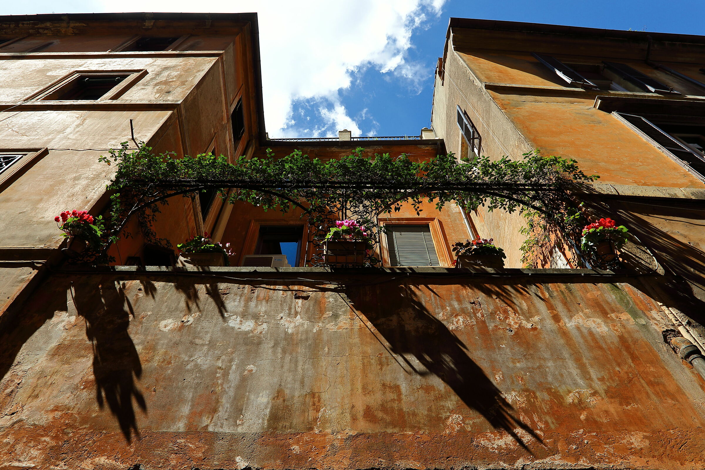 Trastevere