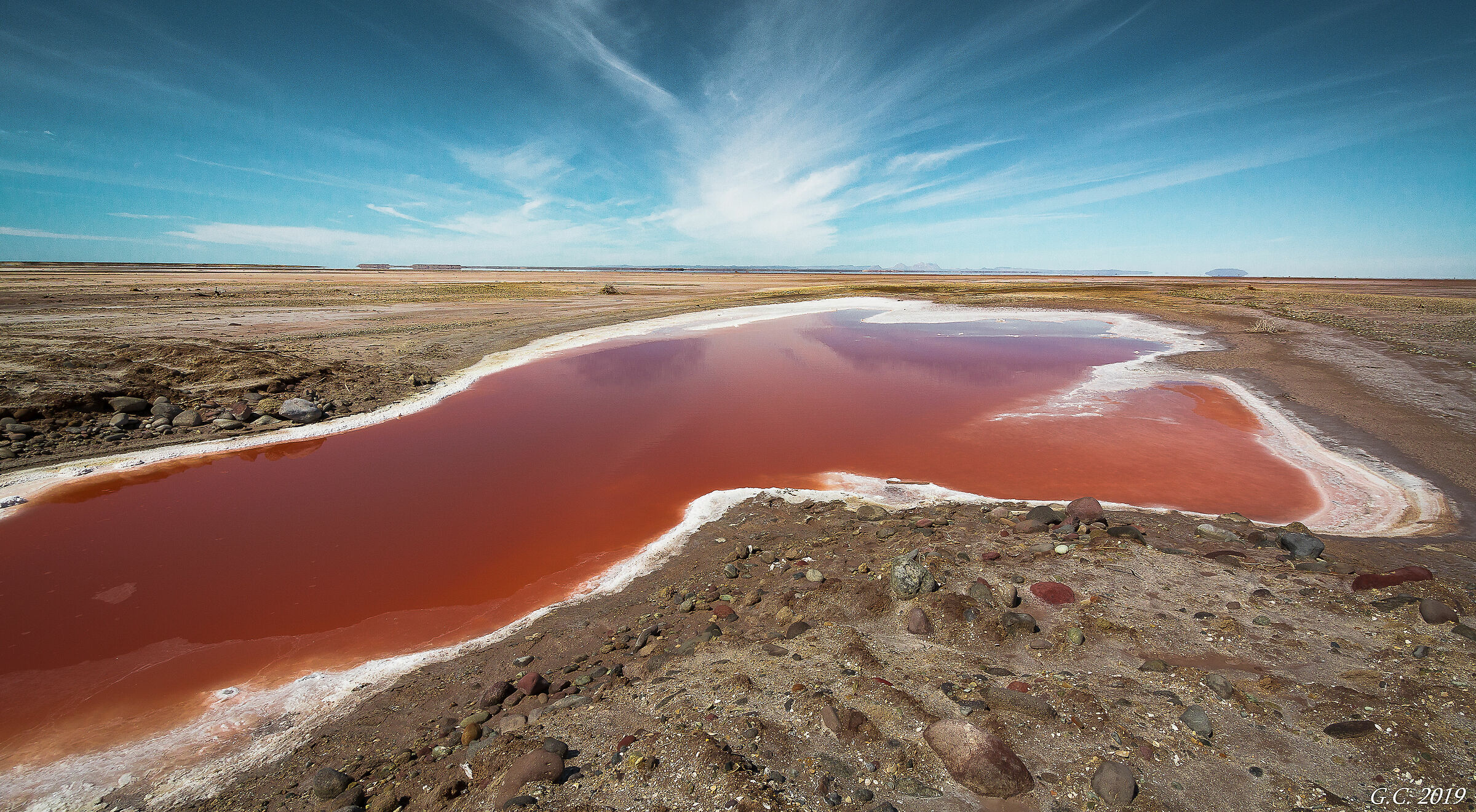 Red Salt Lake
