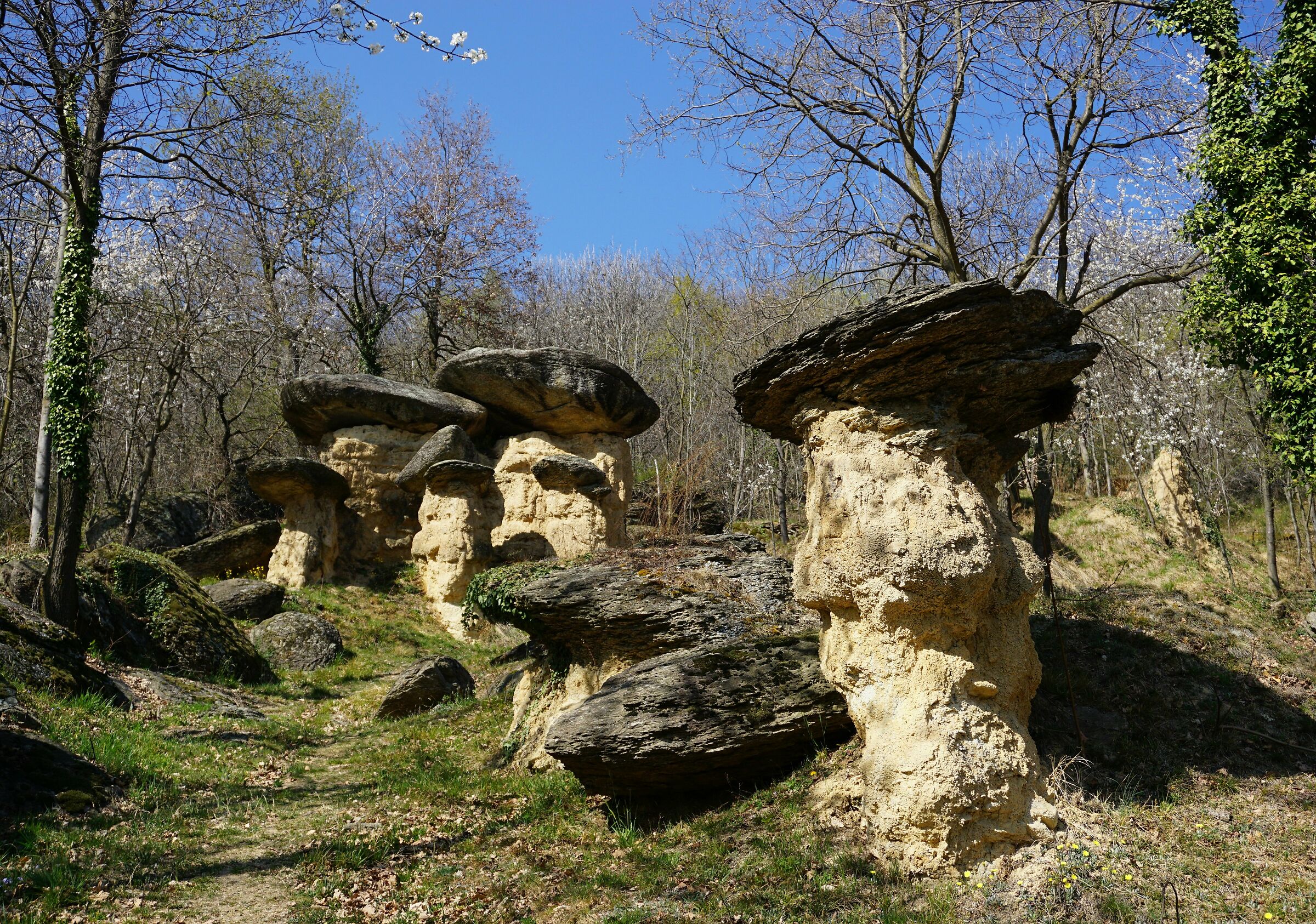 The Ciciu del Villar