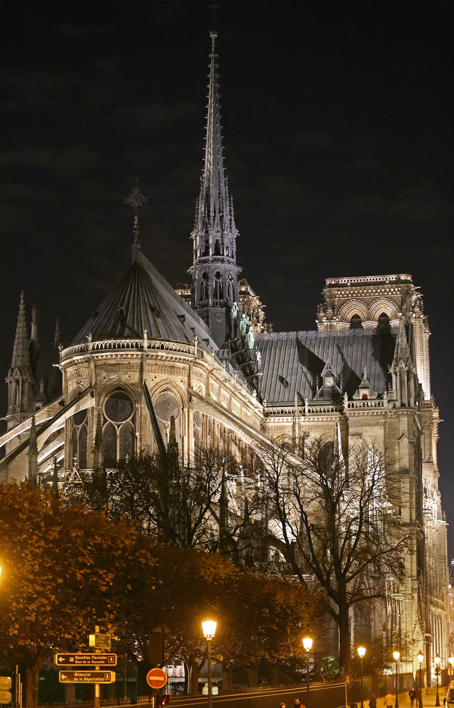 Dedica a Notre Dame di Parigi