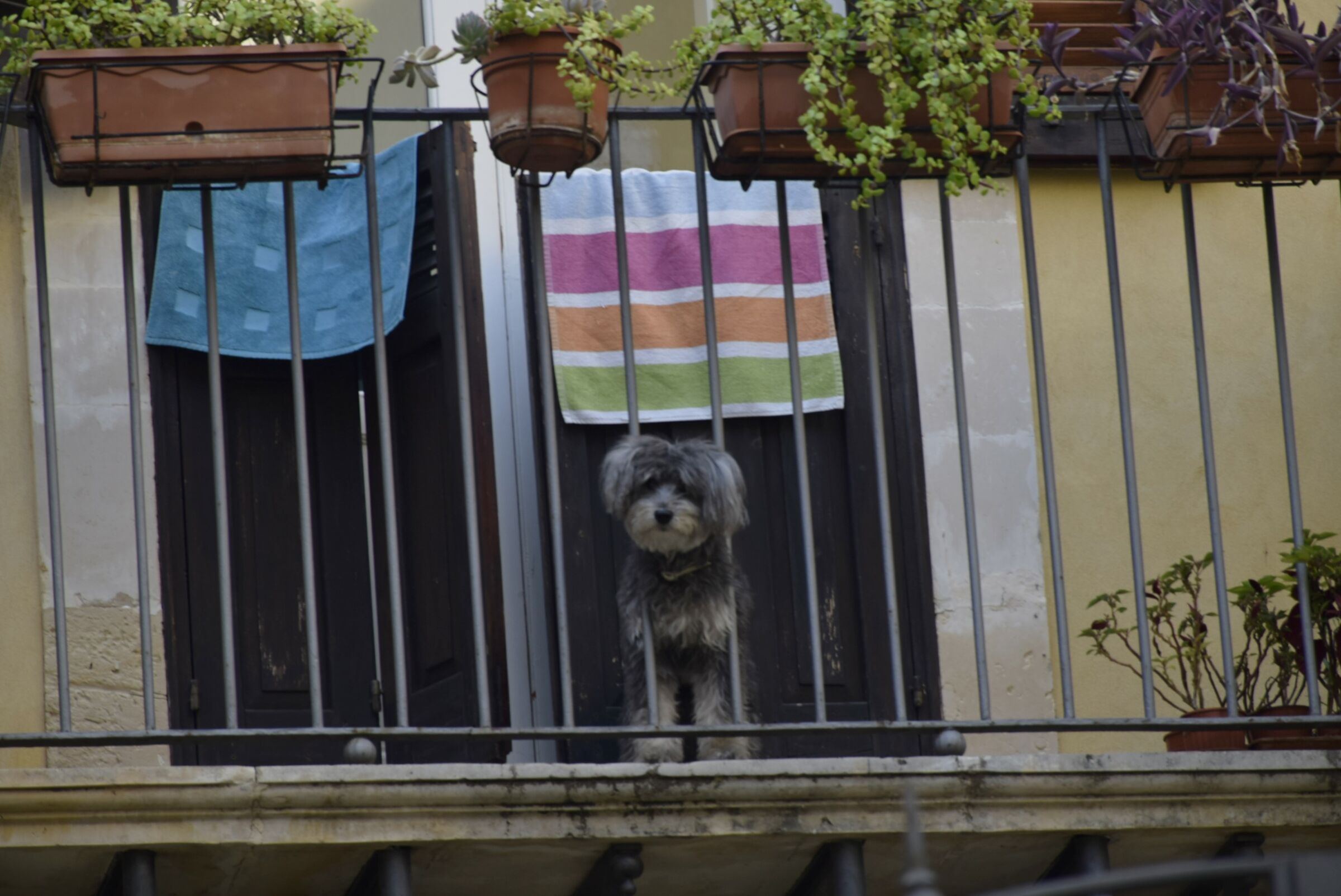 This facility is equipped with a surveillance camera