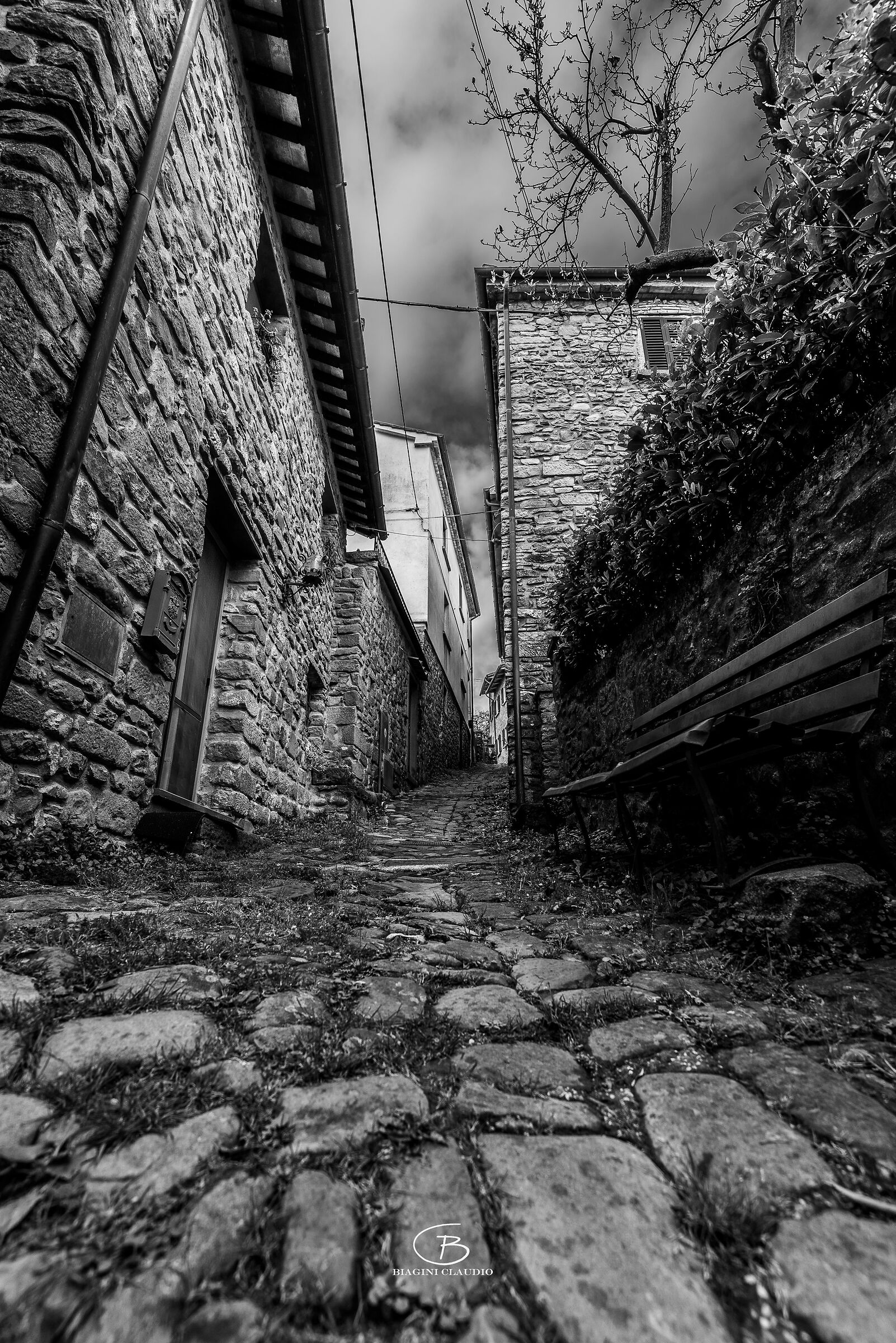 "Chestnut" in black and white, ancient village