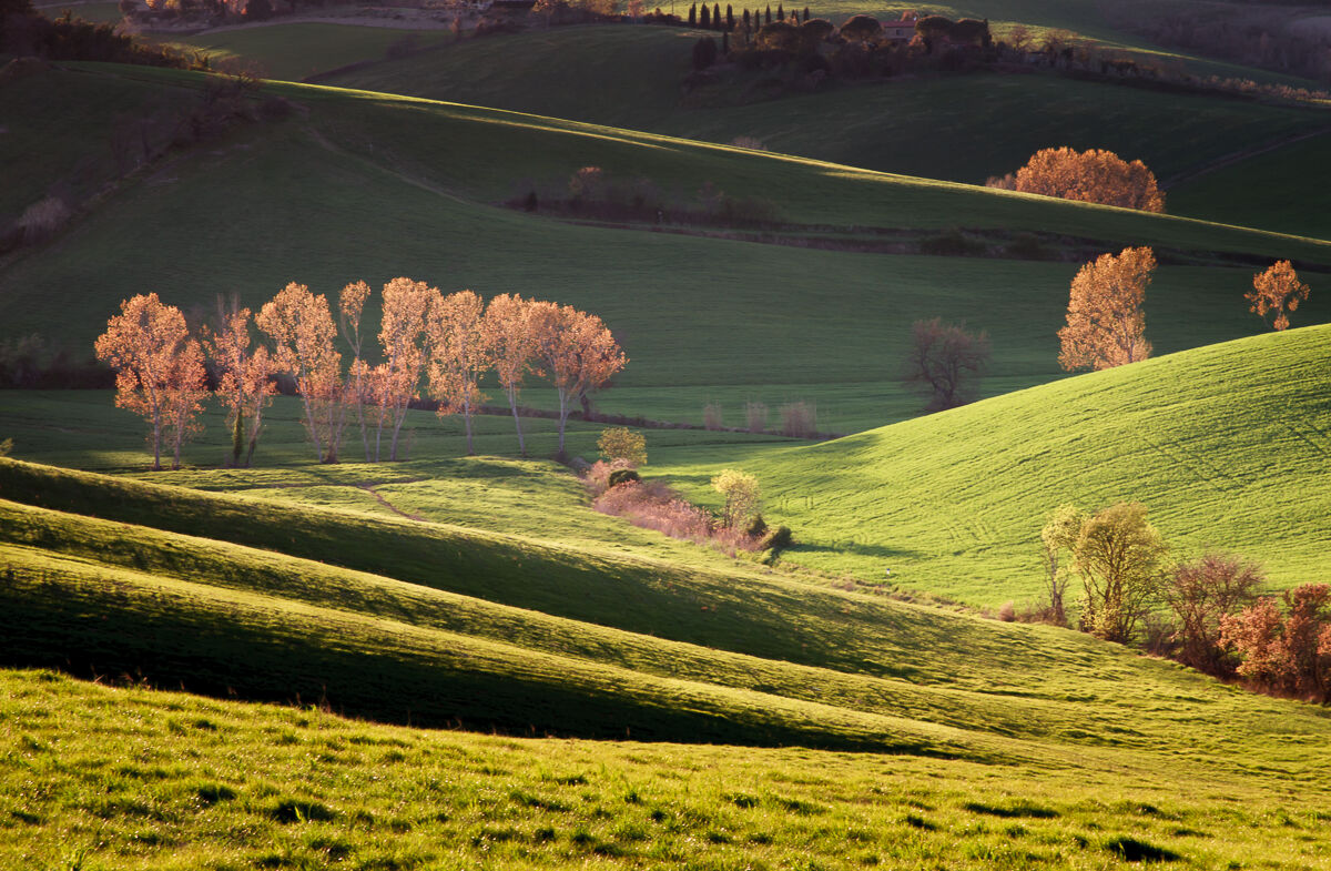 Luminosi tramonti ...