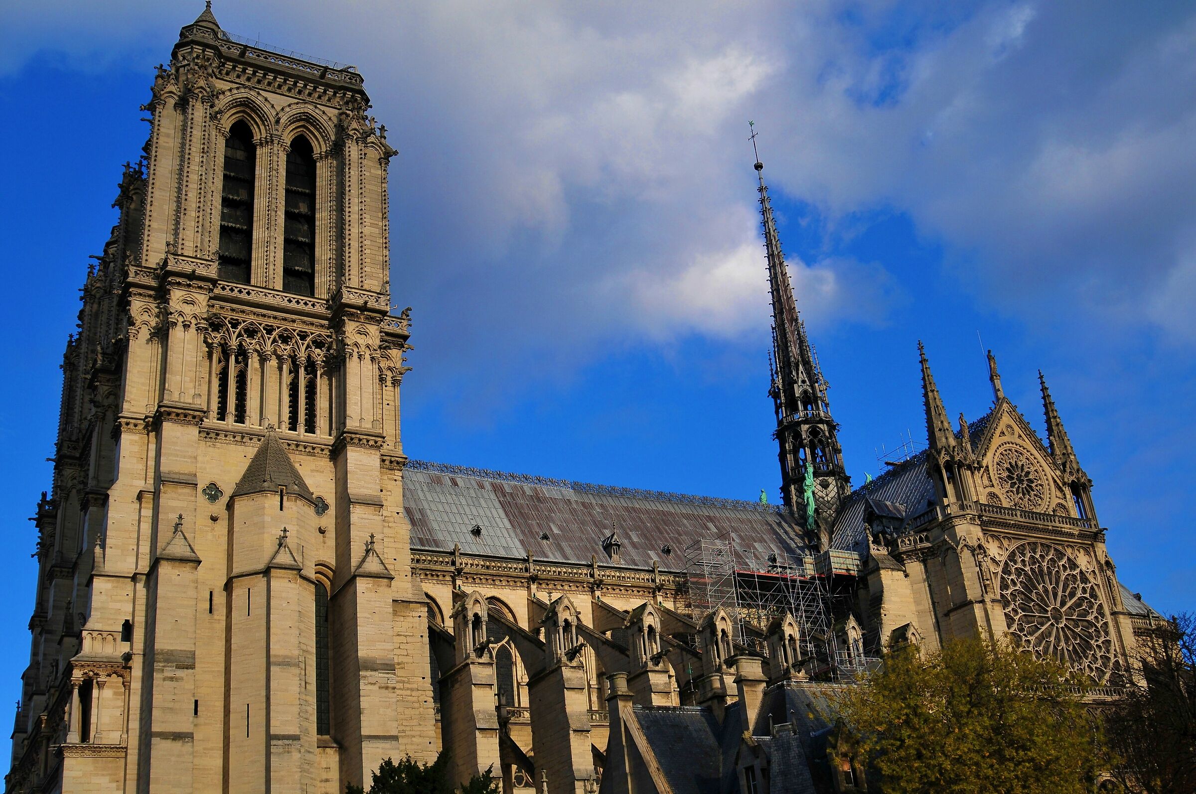 Notre Dame: arrivederci e non addio...