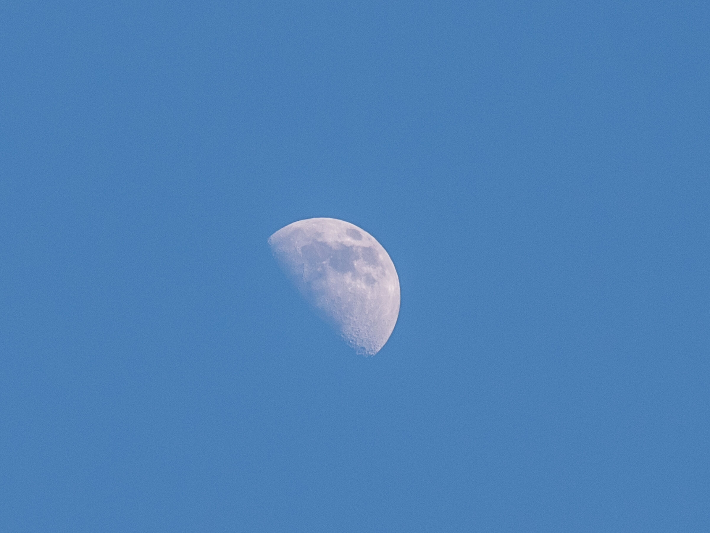 Day Moon