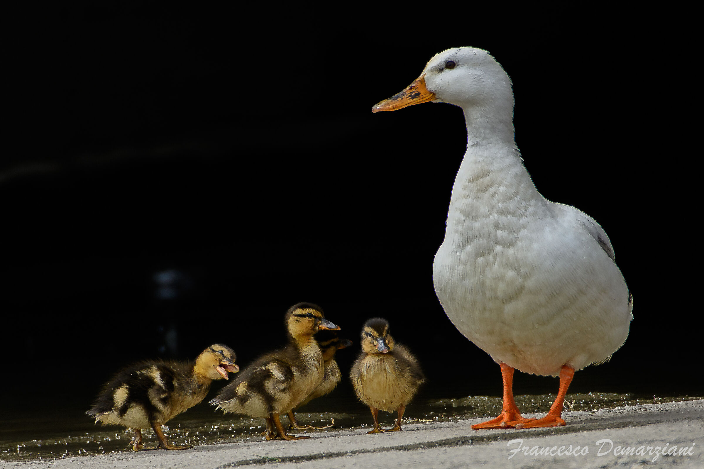 Mom said she's taking us to the bathroom!