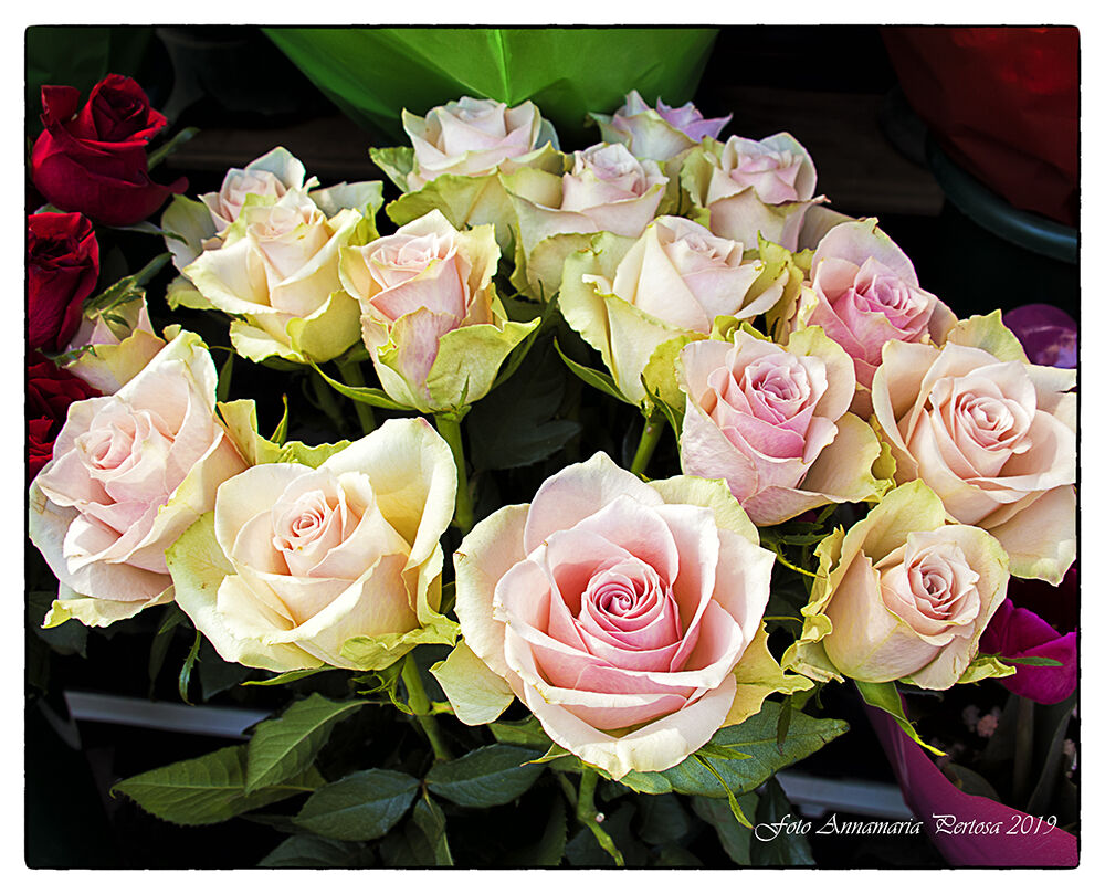 Un omaggio a Notre Dame de Paris