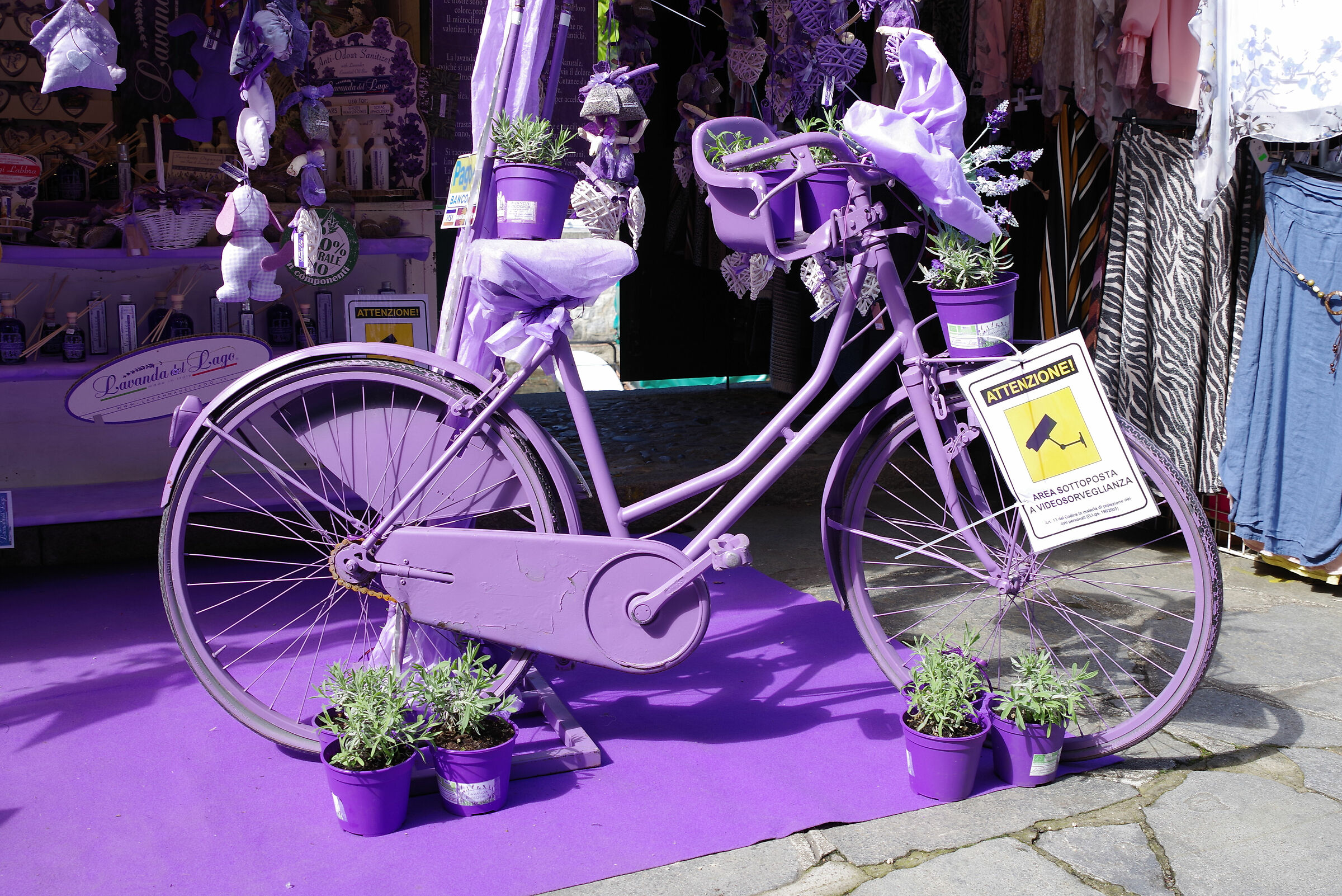 altra Bici alla Lavanda
