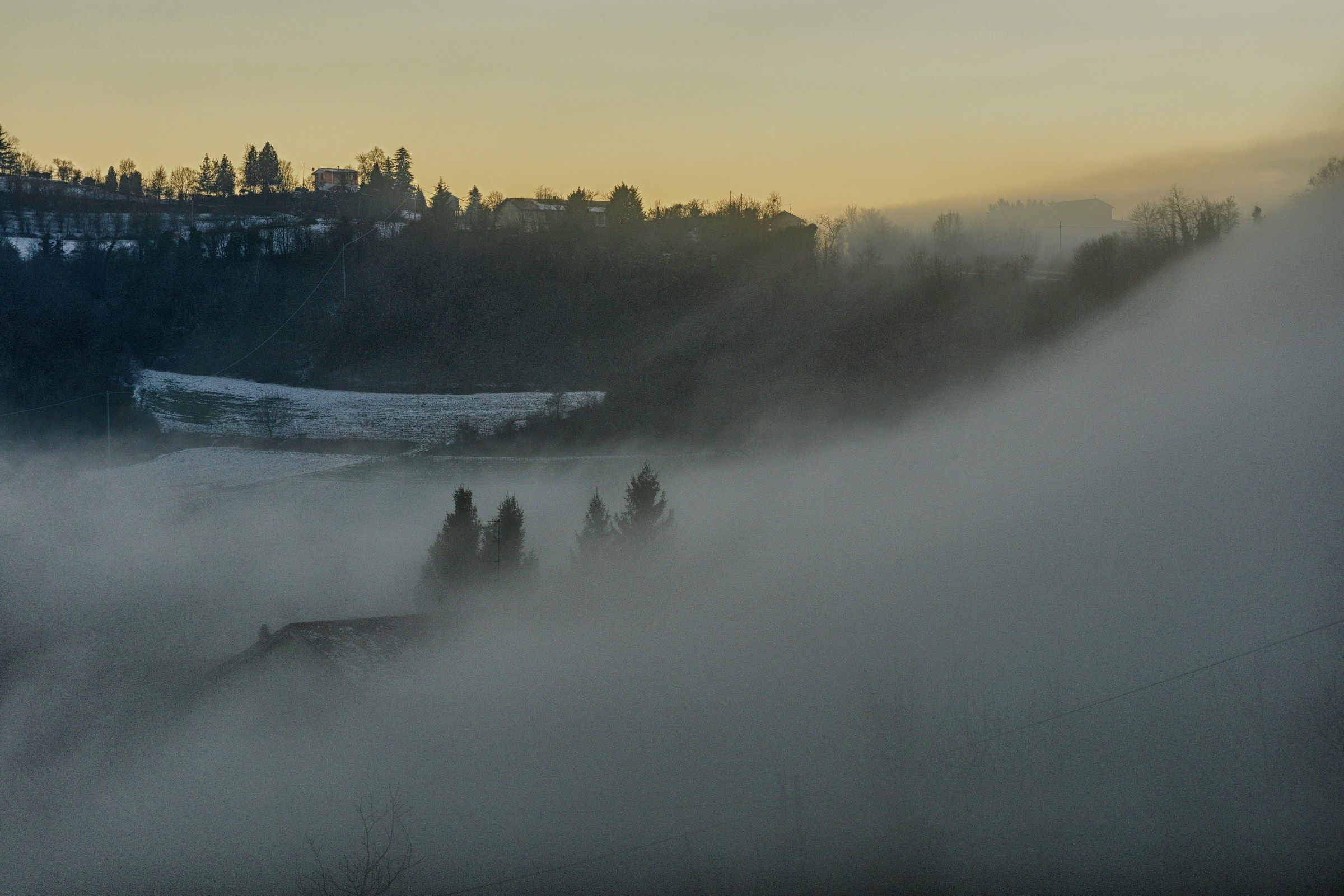 overwhelmed by the gray