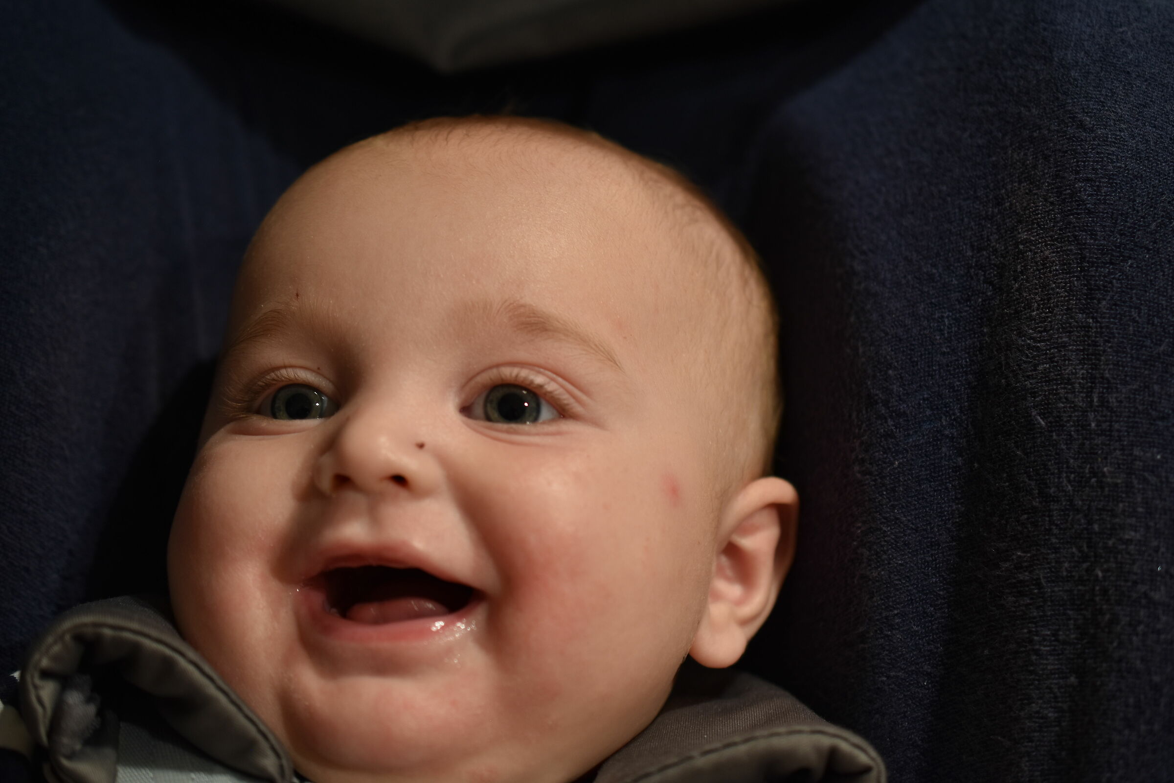 THE LITTLE