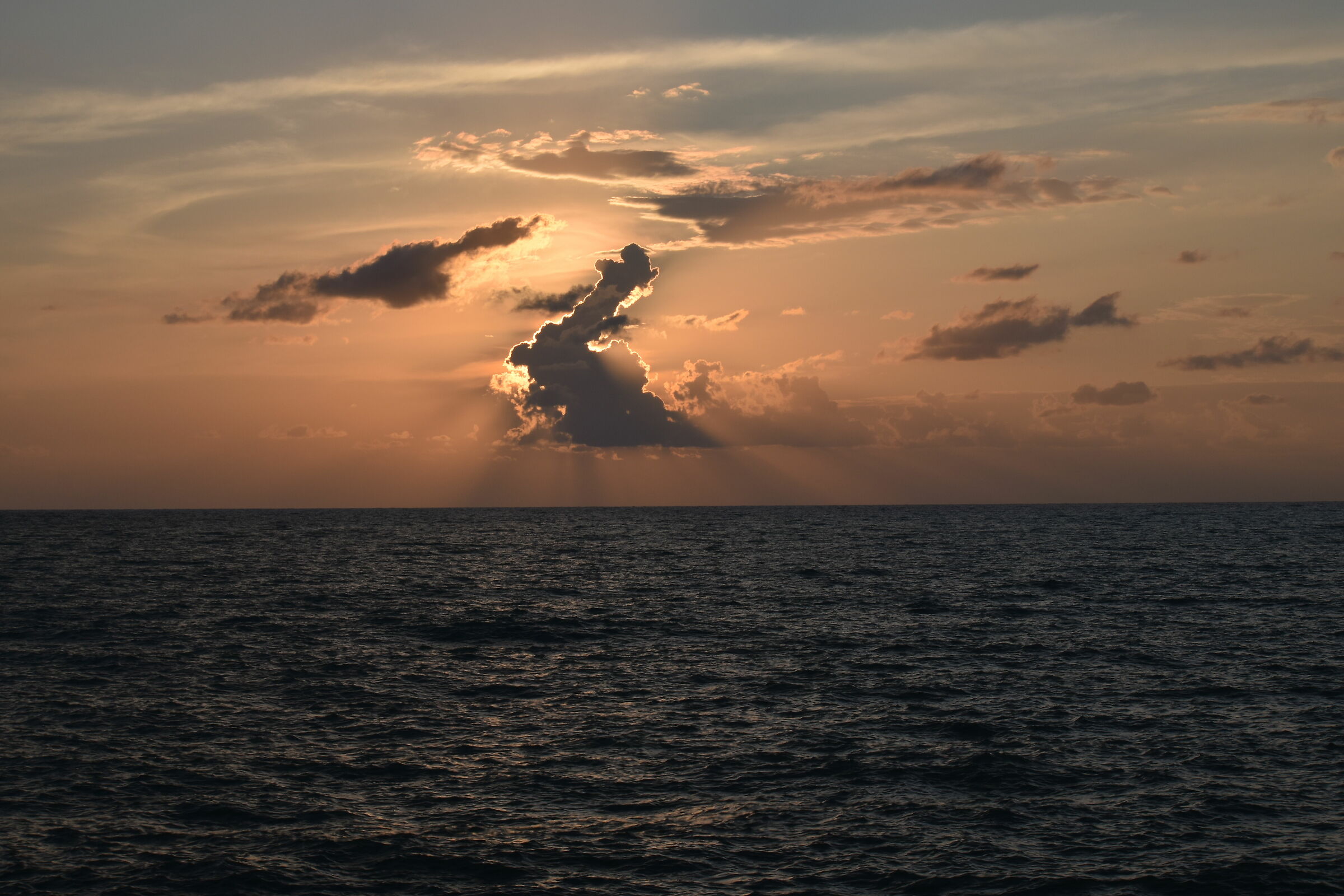 THE SUNSET