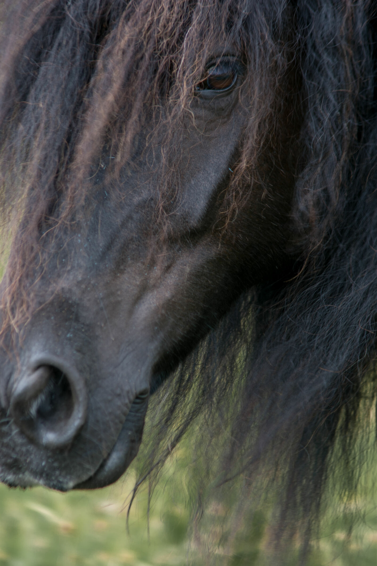 Anche L'occhio vuole la sua parte