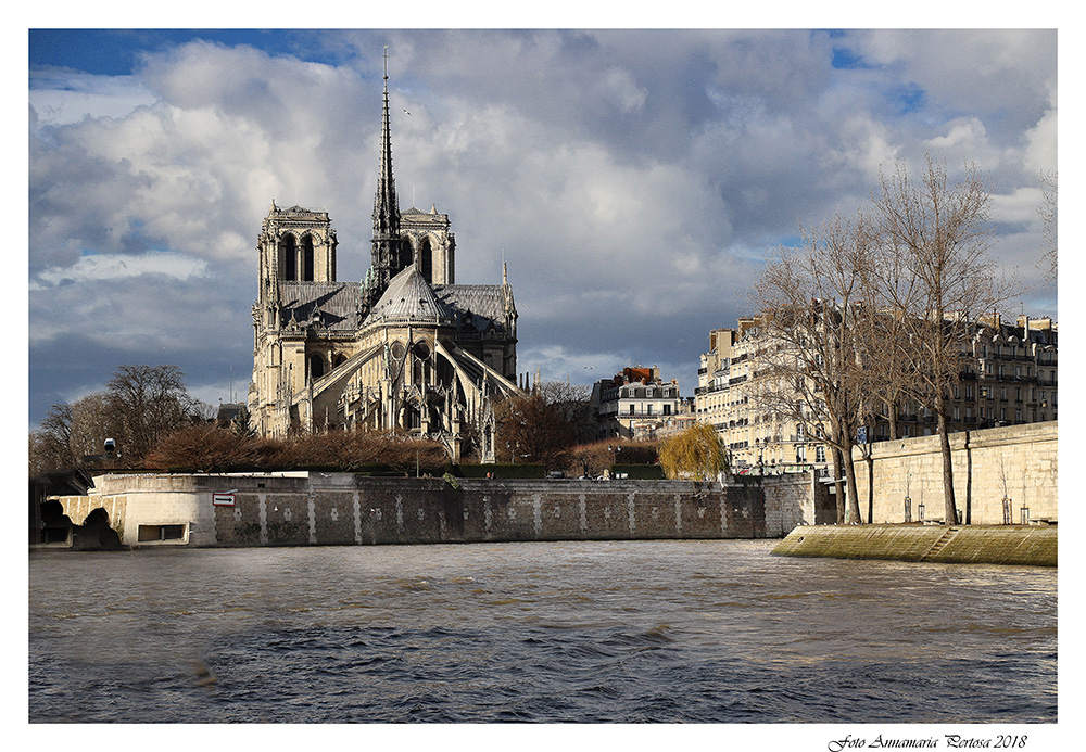 Notre Dame de Paris from the Bateau Mouche