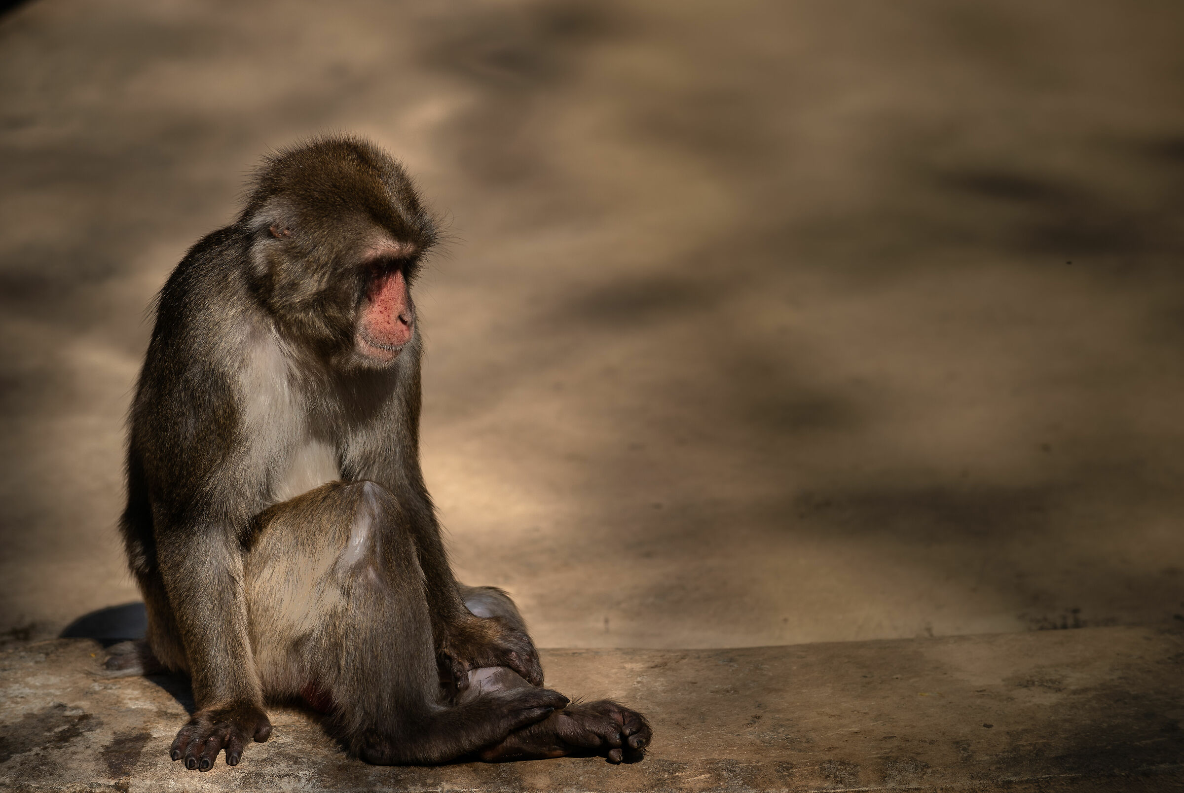 Pausa di riflessione