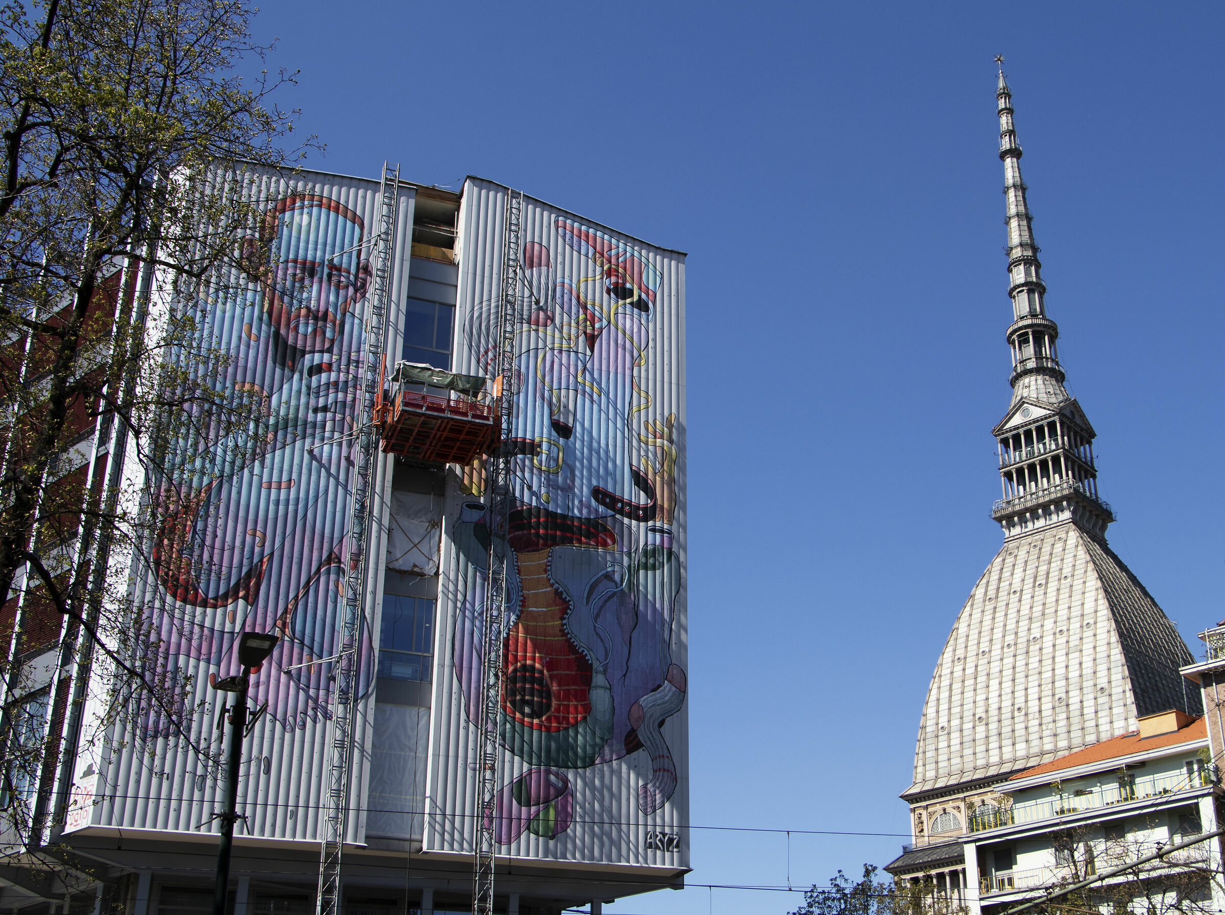 The Mole and the drawing