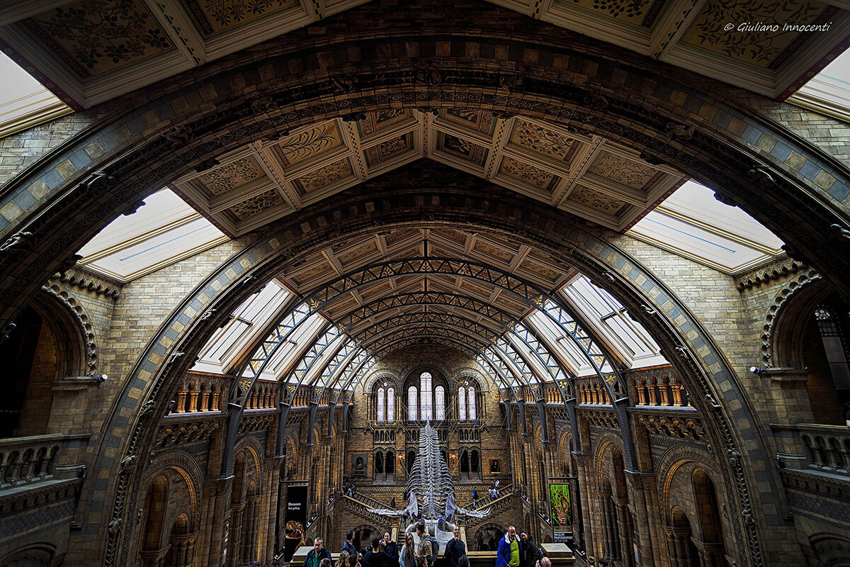 Natural History Museum