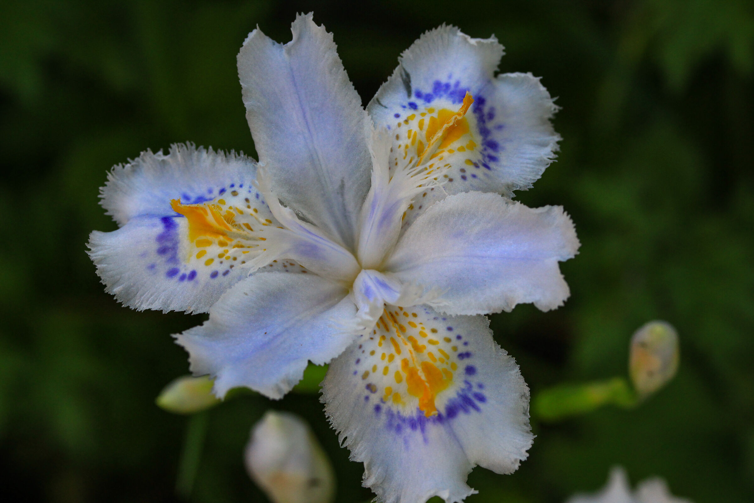 A surprise around the corner