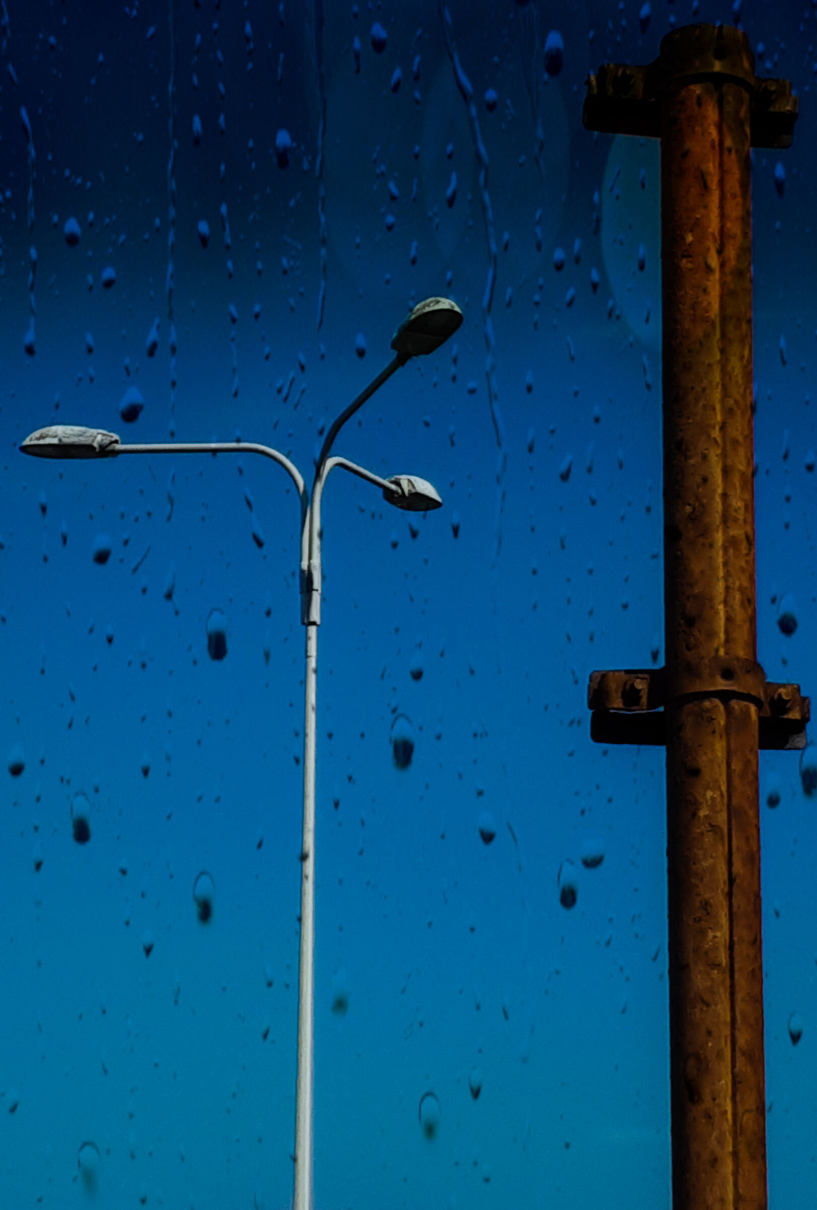Rain