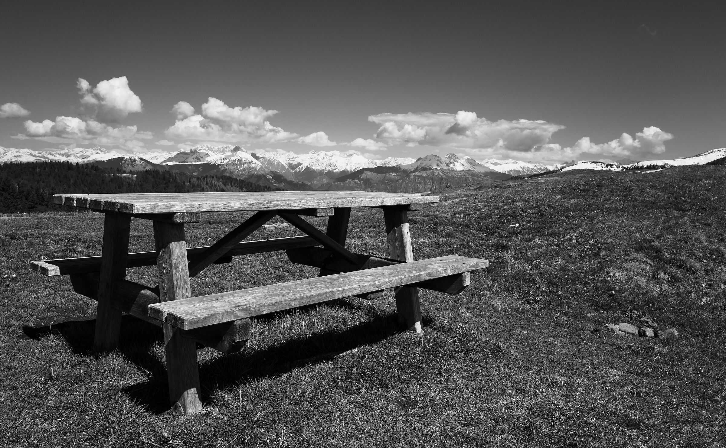 Black and White Picnic