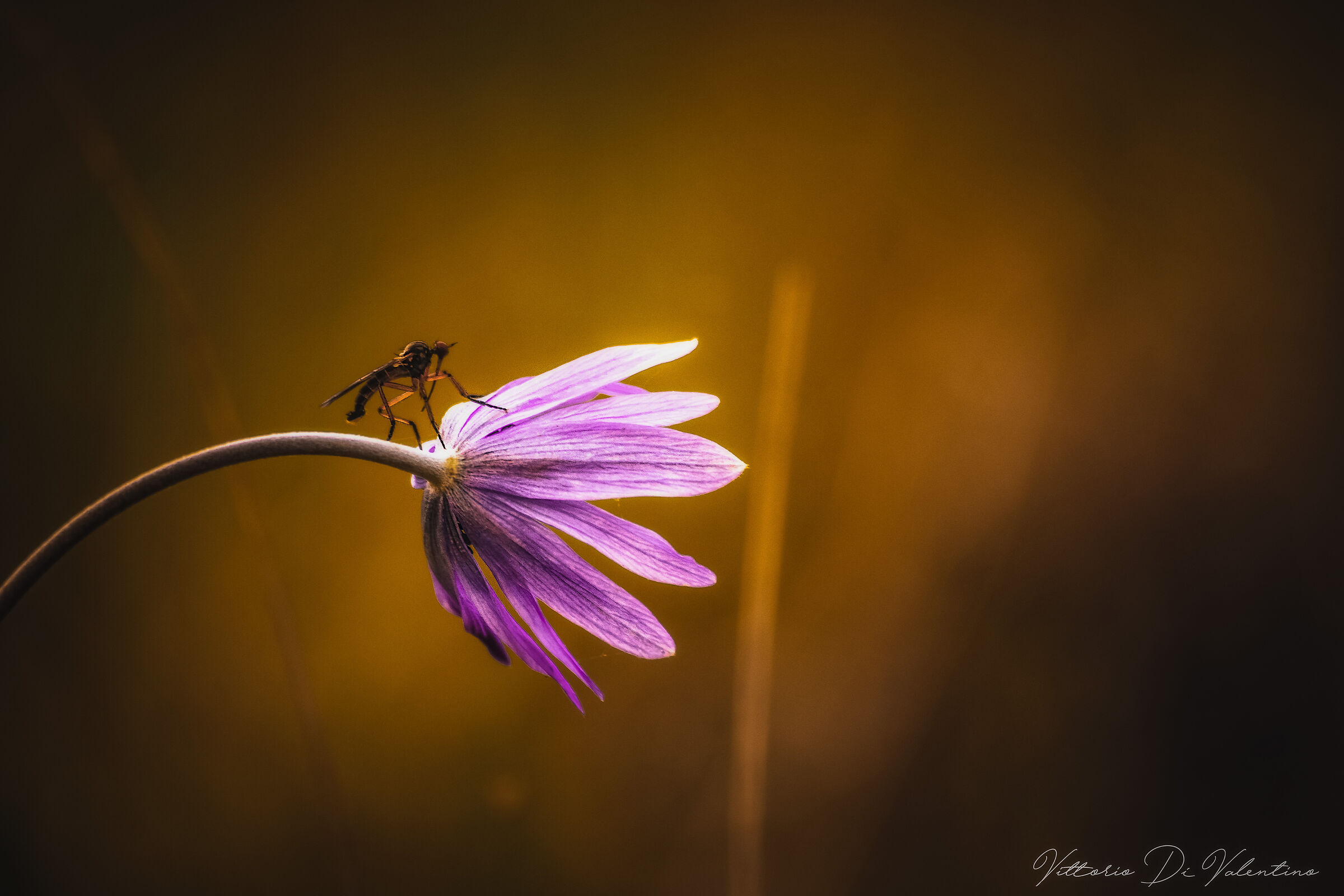 Waiting for the flight