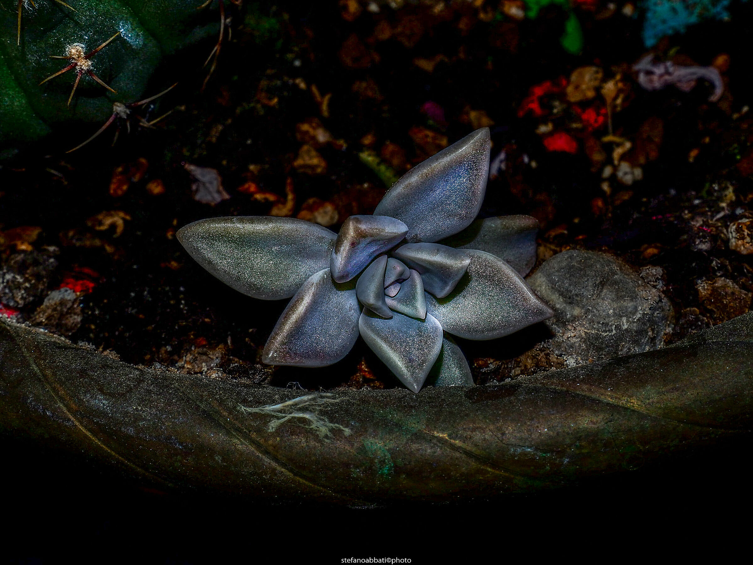Natura metallizzata