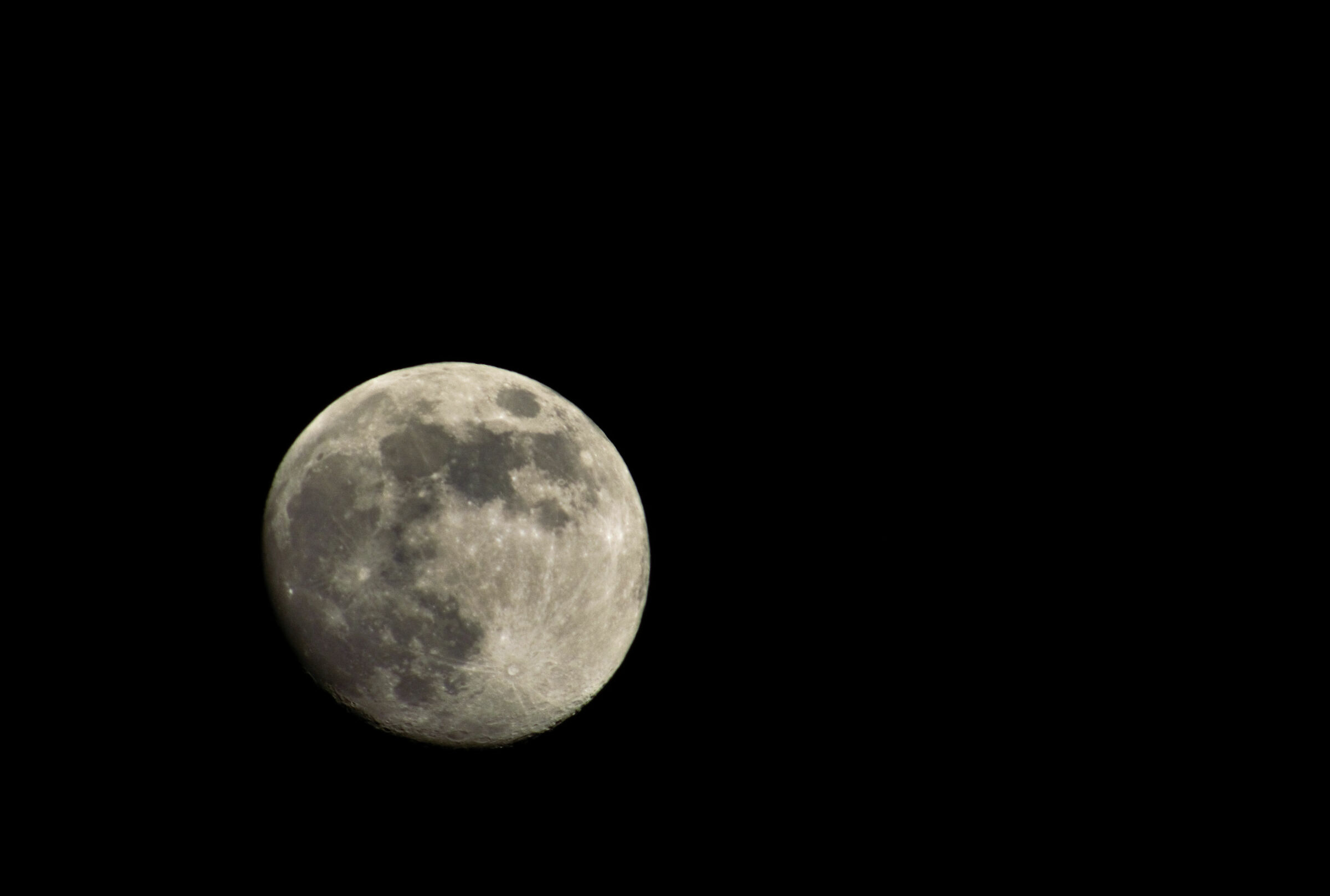 Luna di 13 giorni