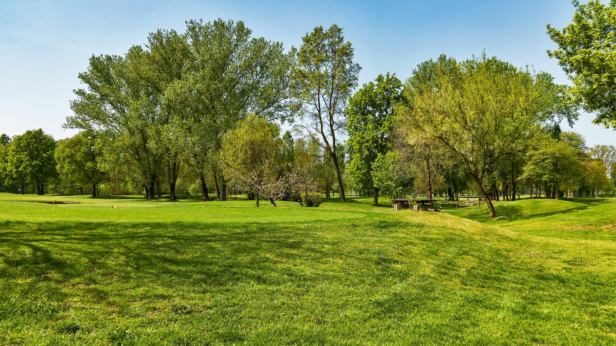 How Green is My Valley