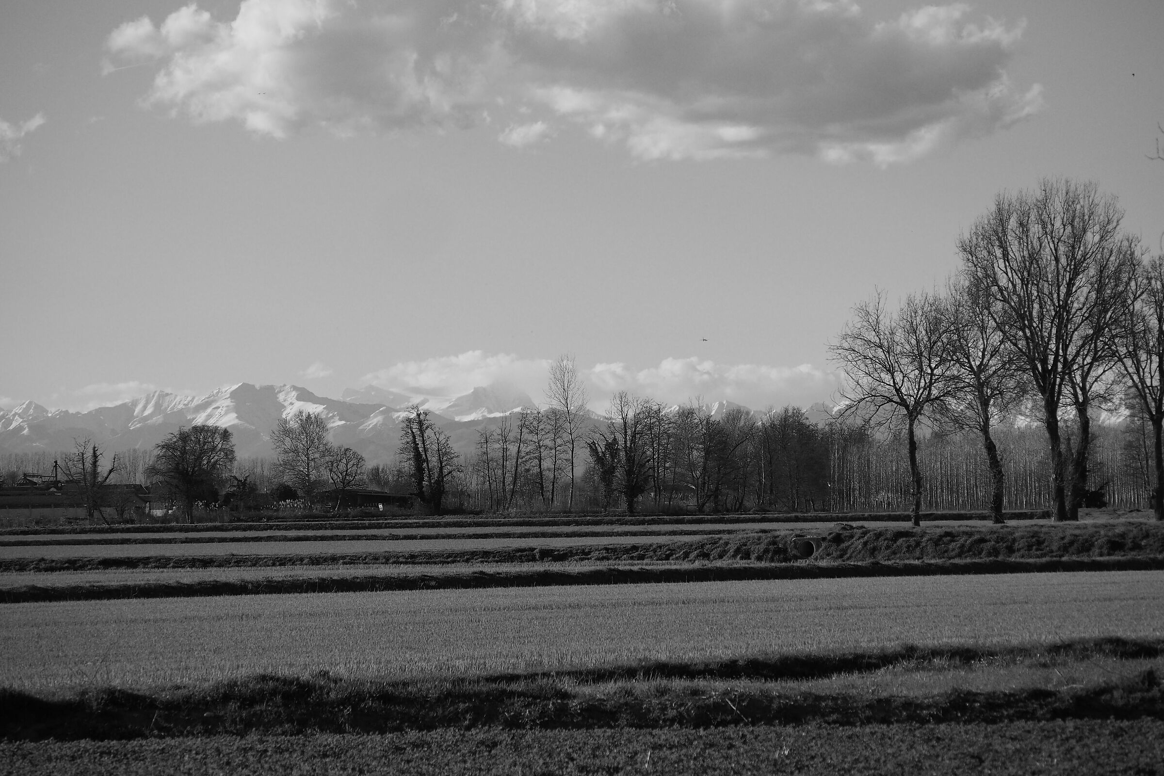 View from the countryside