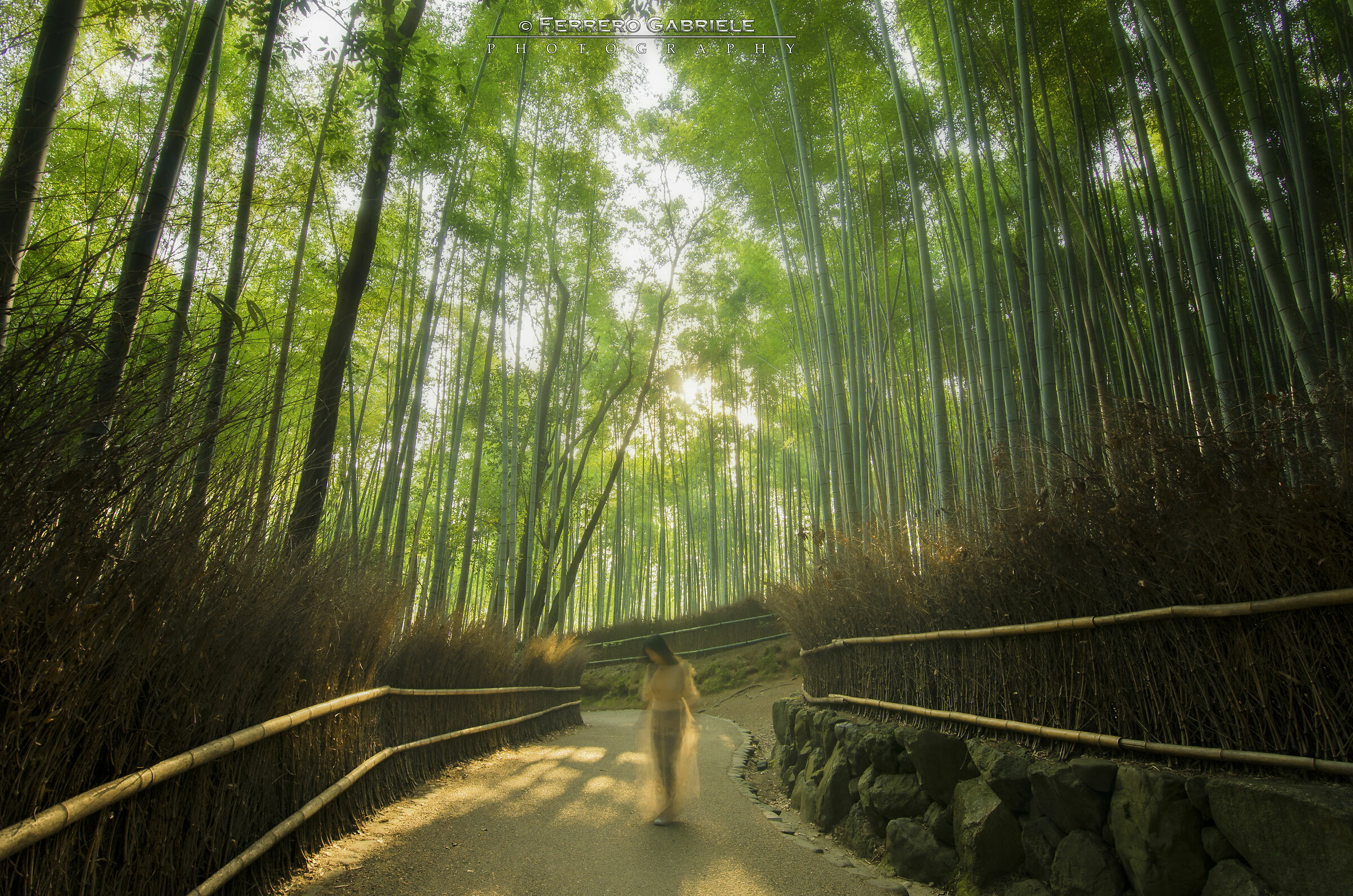 The Ghost of Arashiyama