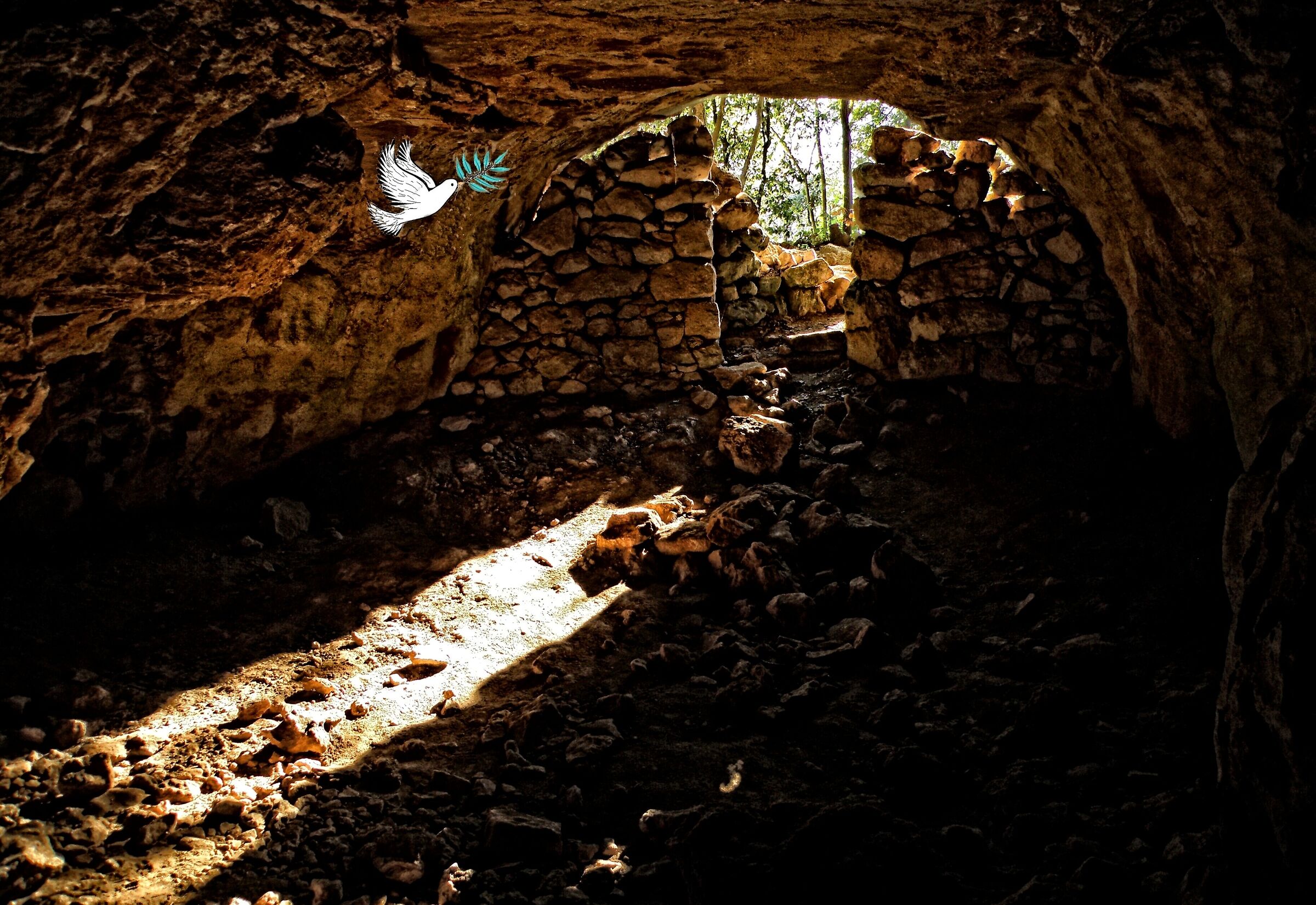 Buona Pasqua 2019 …