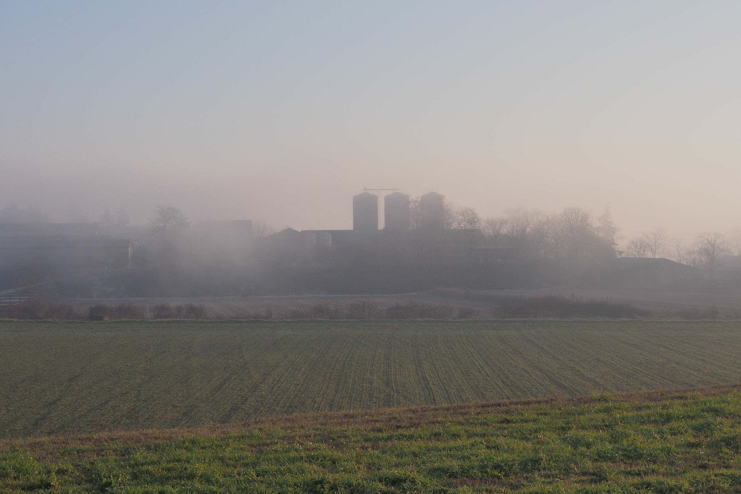 Campaign and Fog III