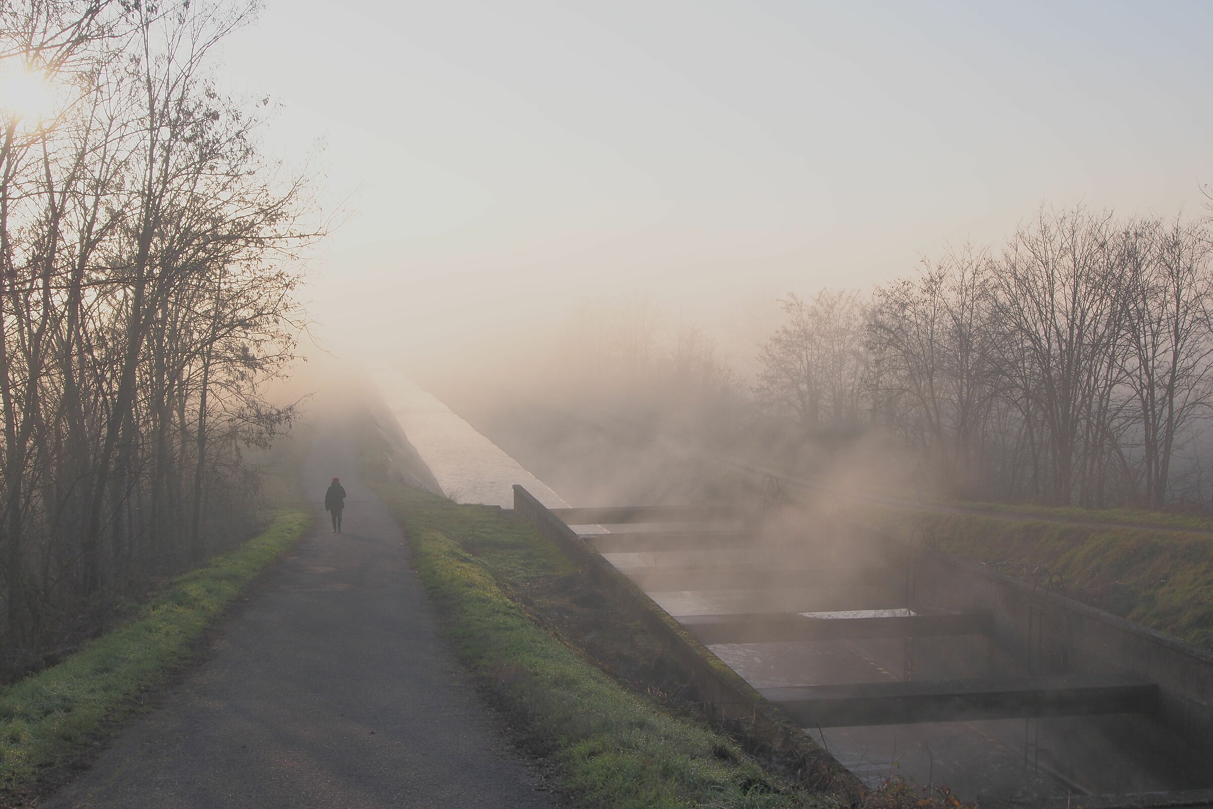 Campaign and Fog IIII