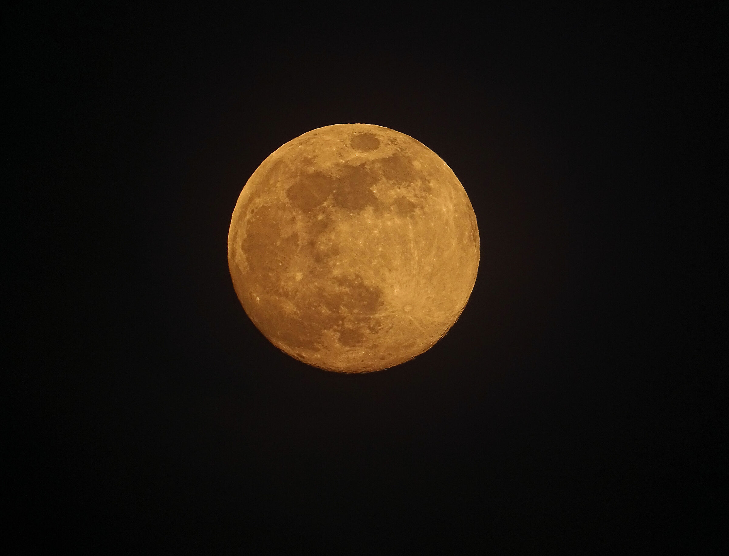 Luna Rossa Vesperina
