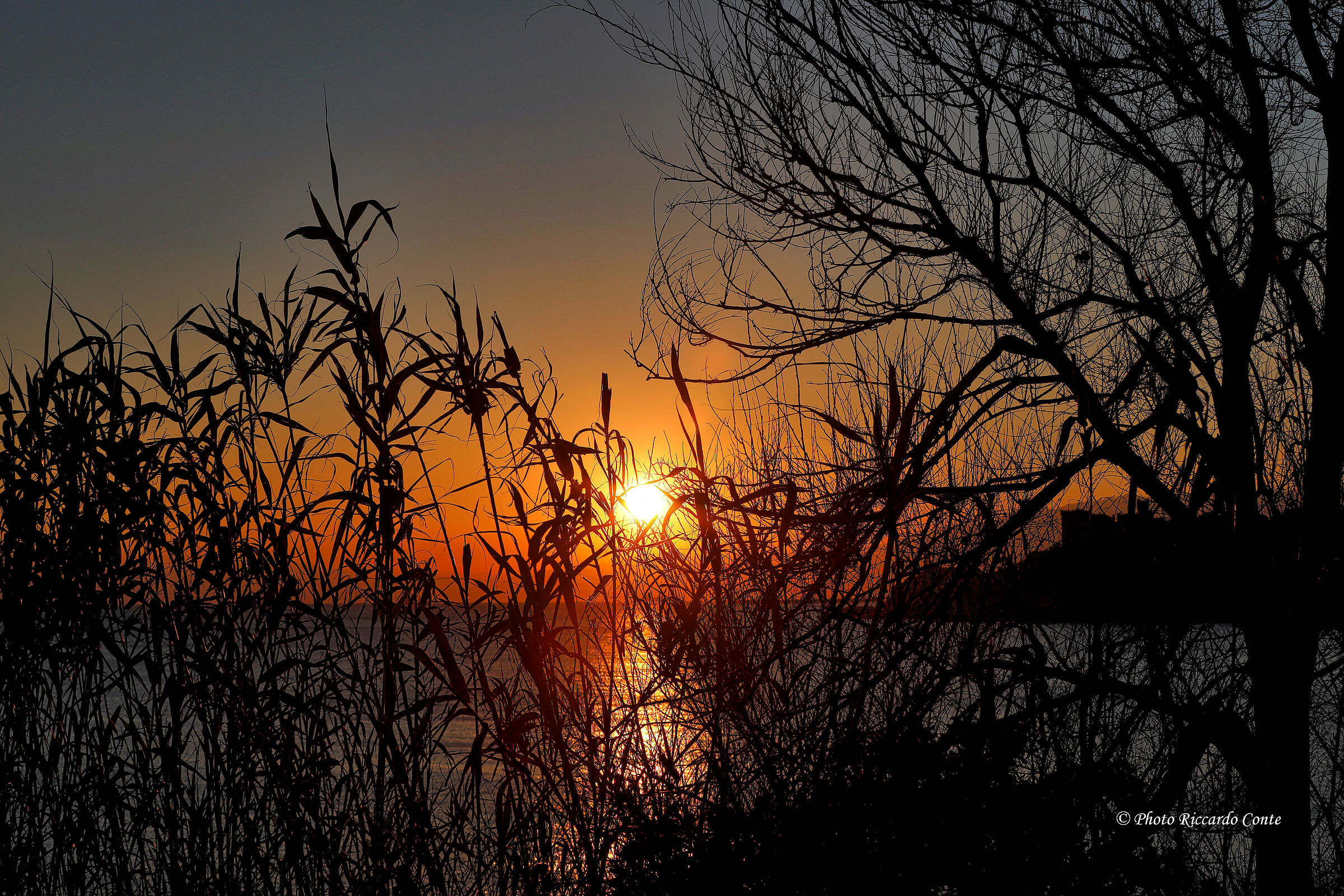 scorci di genova nervi