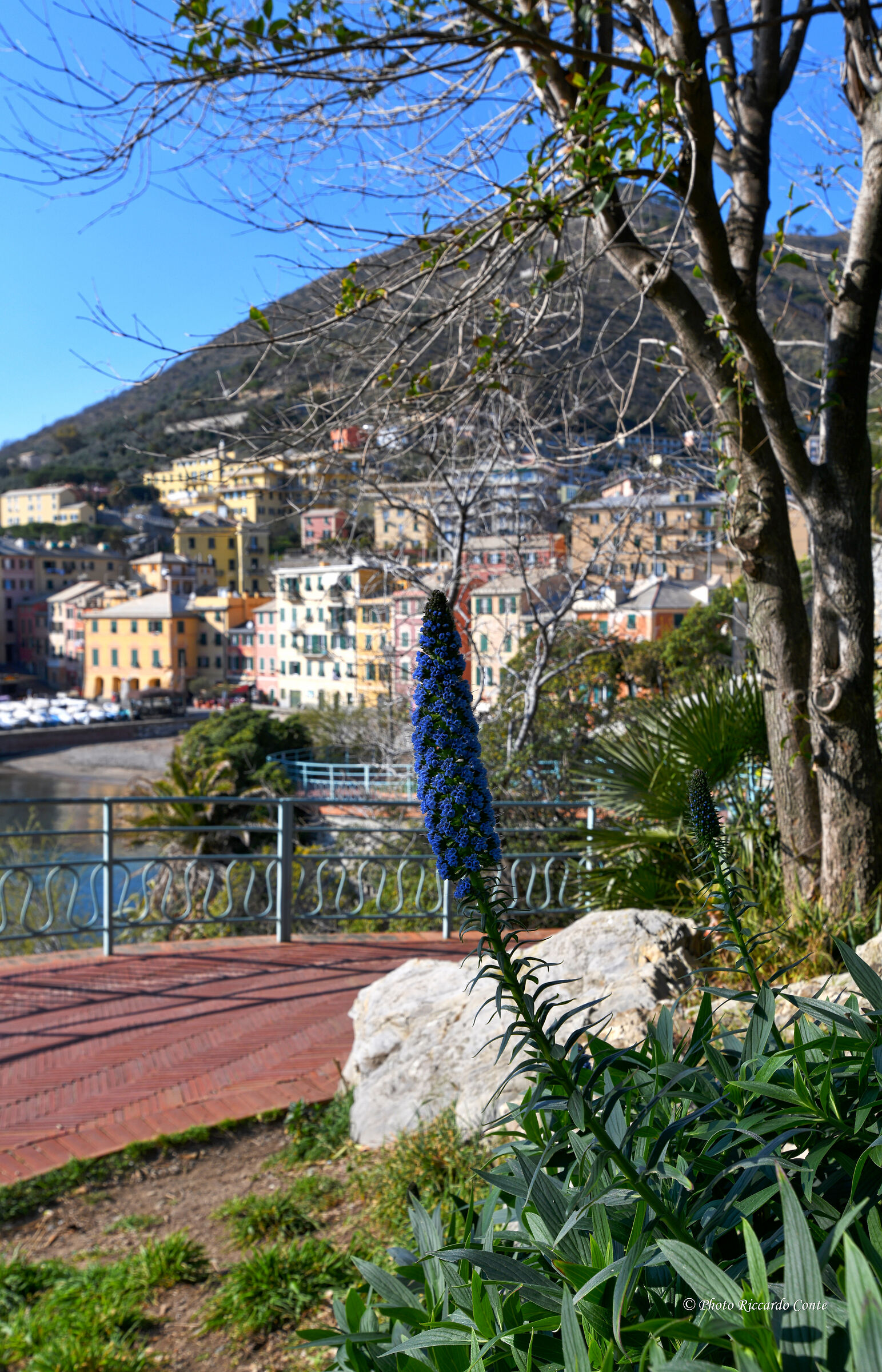 scorci di genova nervi
