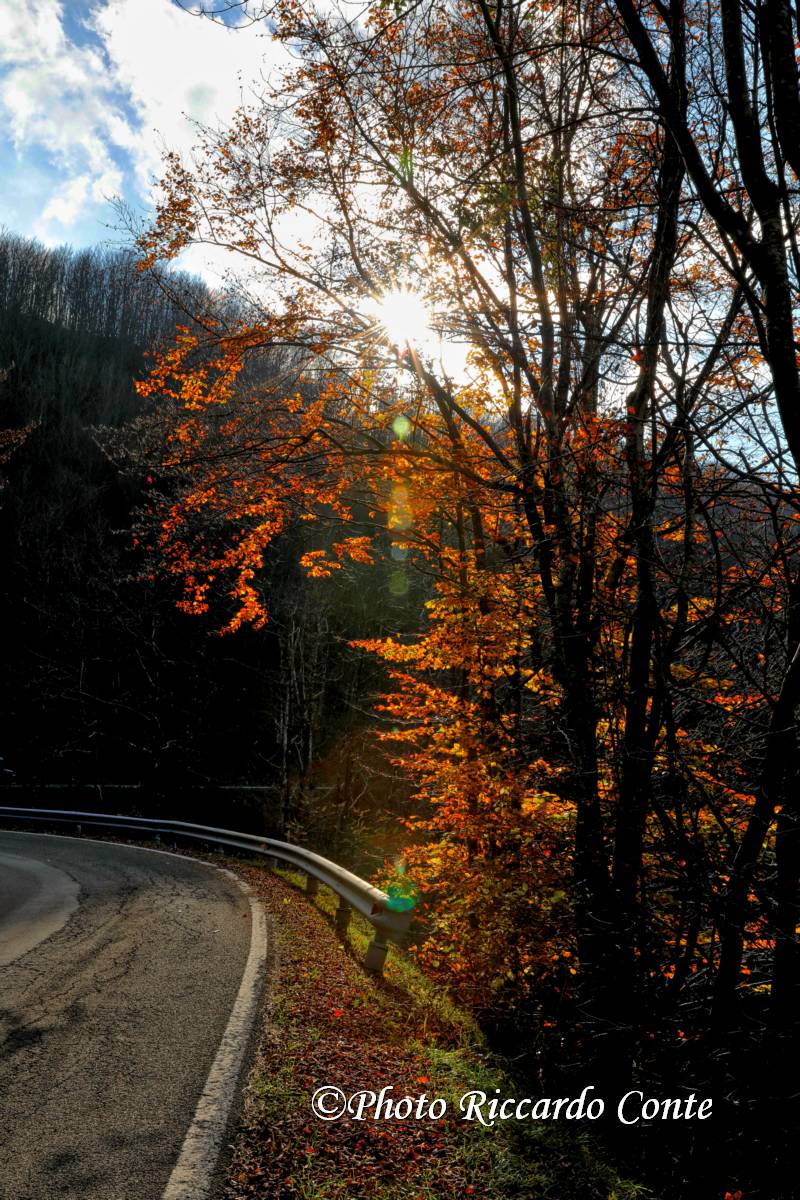 SANTA MARIA VAL TARO (PR) AUTUMN 2018