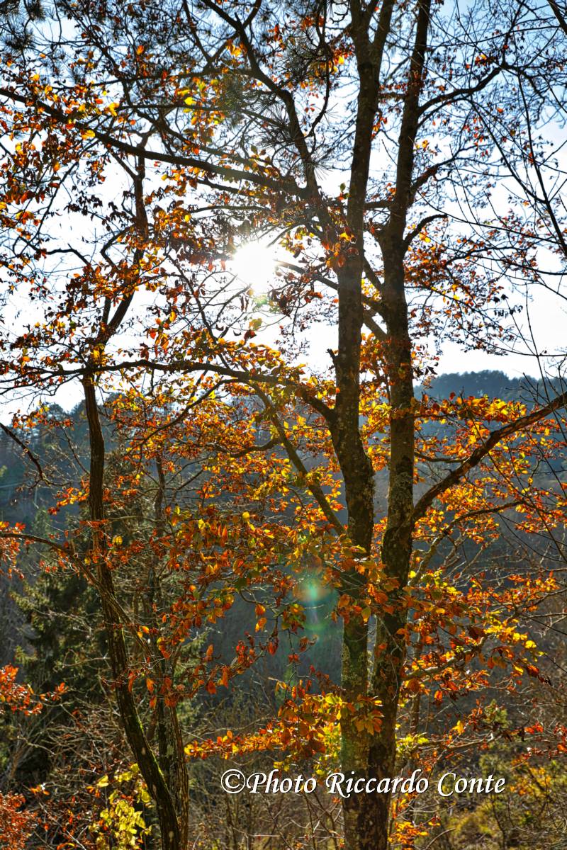 SANTA MARIA VAL TARO (PR) AUTUMN 2018