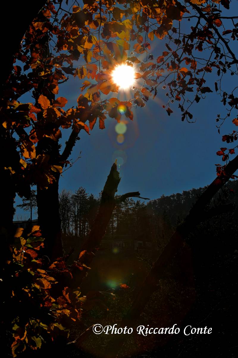 santa maria val taro (pr) autunno 2018