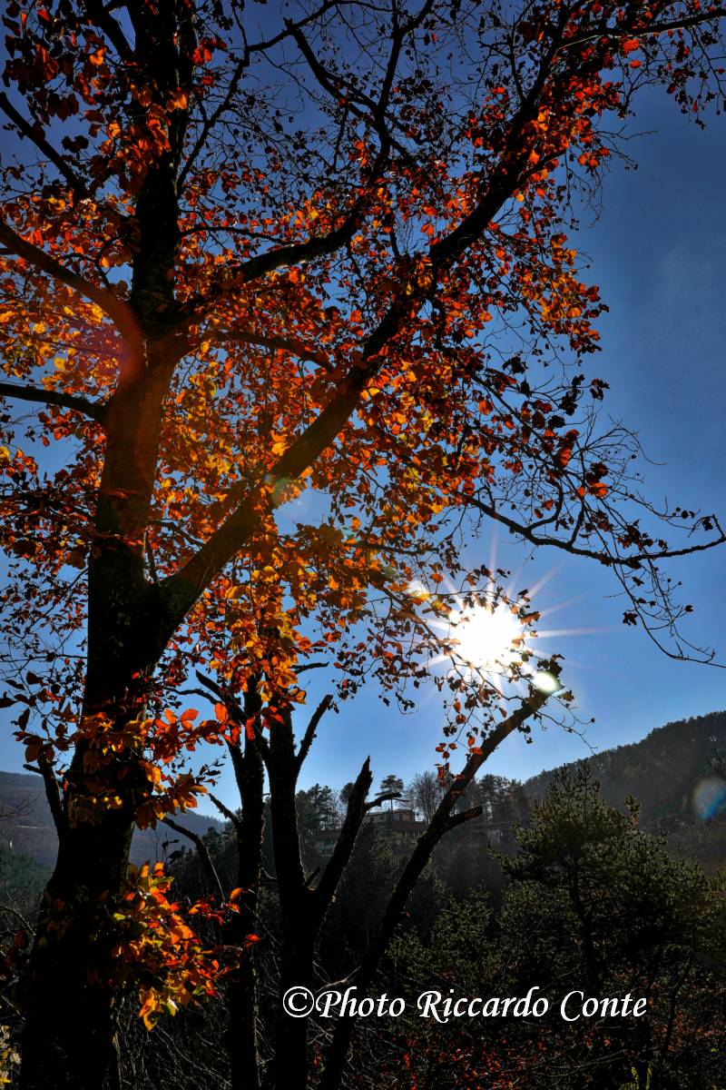 santa maria val taro (pr) autunno 2018
