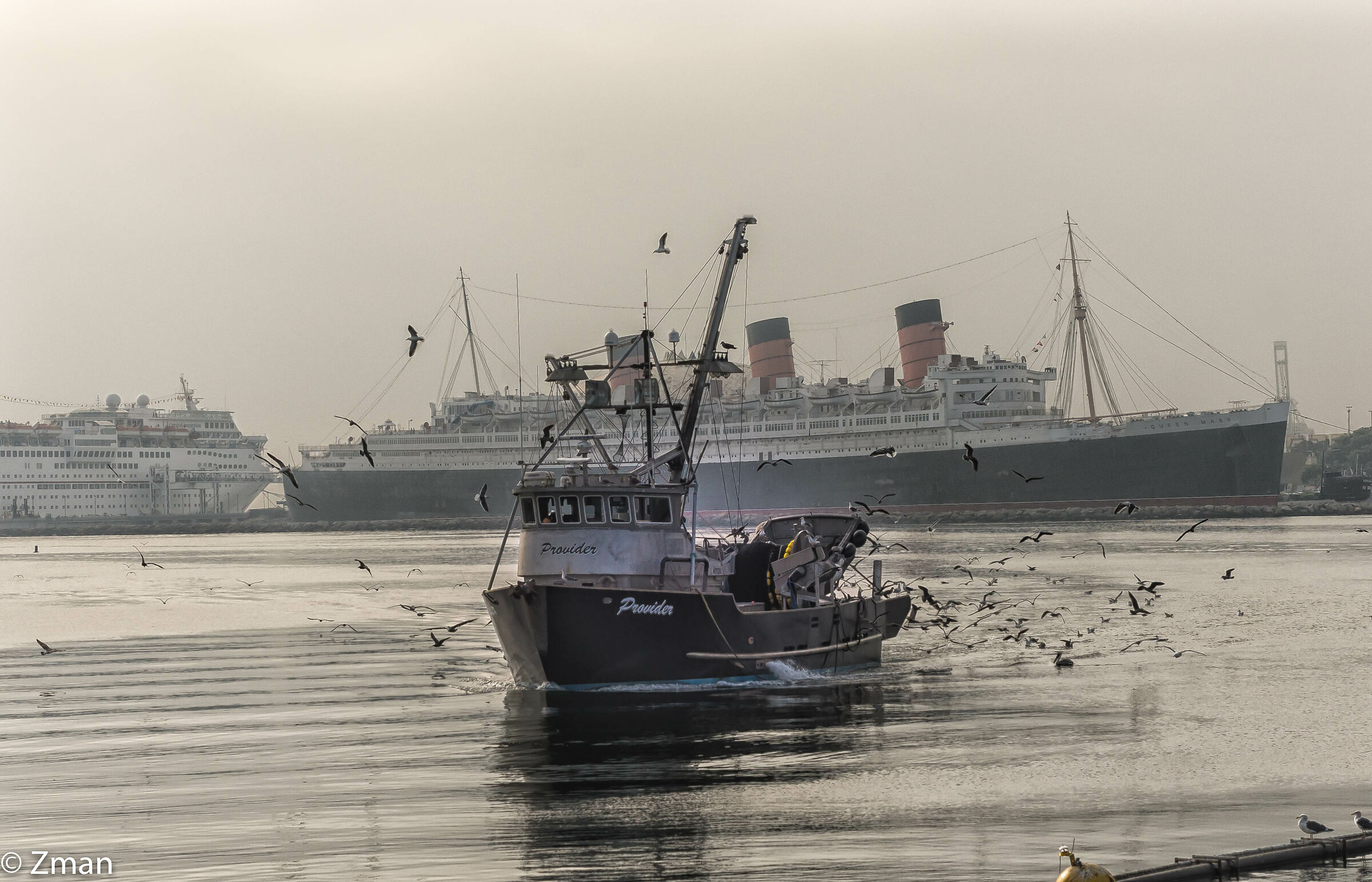 Provider and Queen Elizabeth