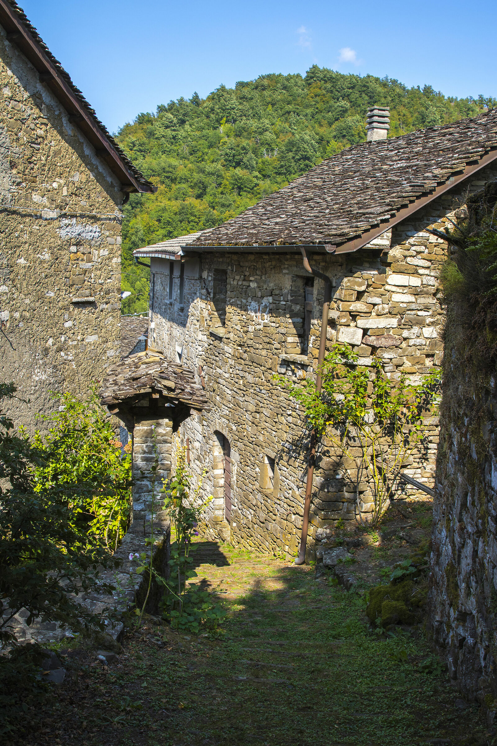 corchia borgo medioevale