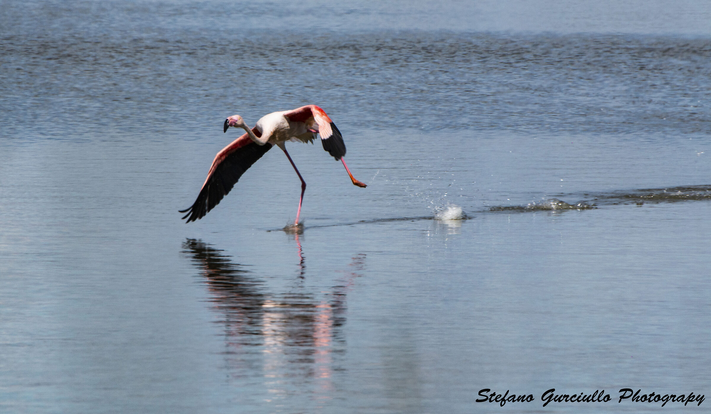 La corsa prima del decollo
