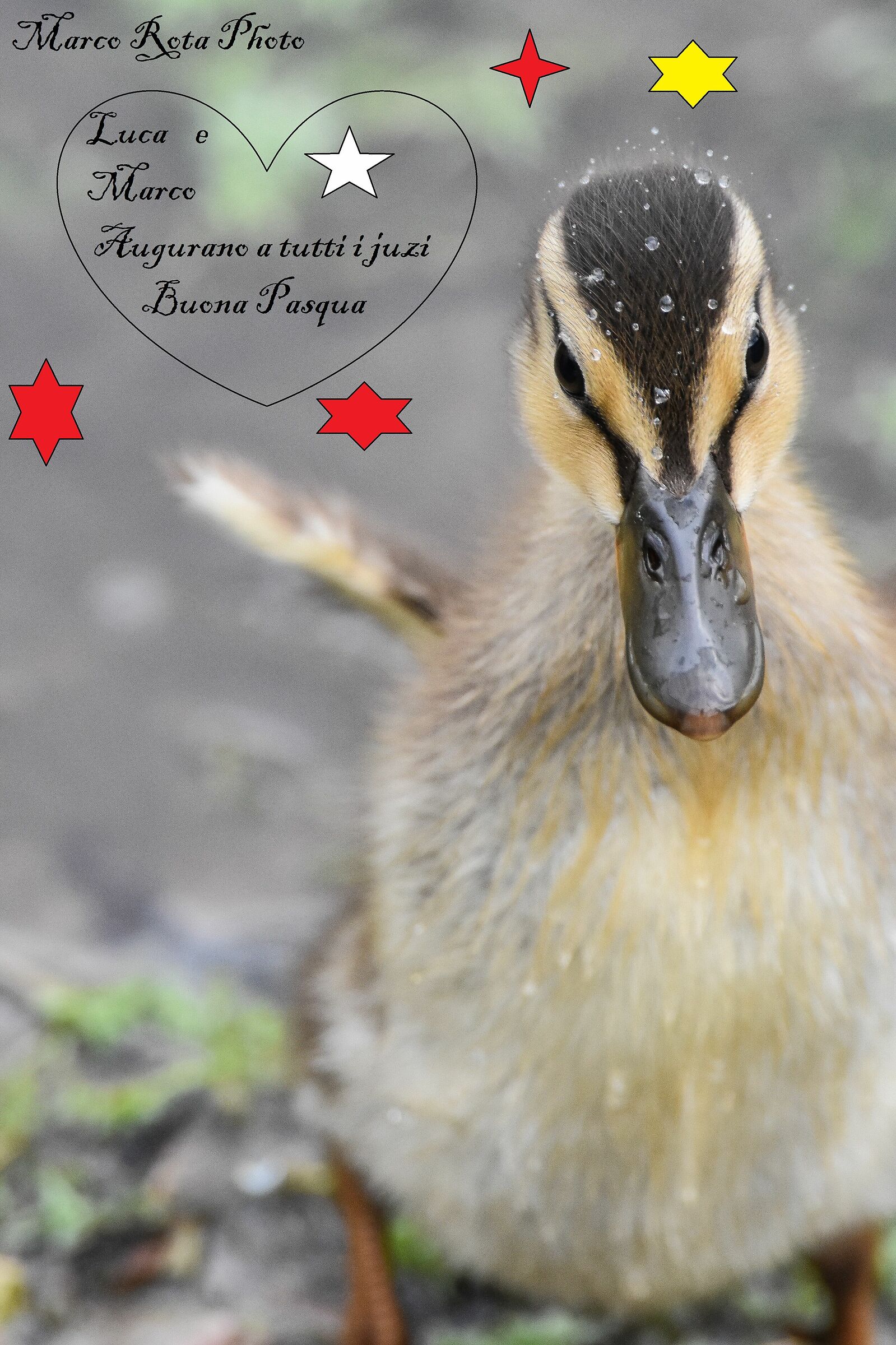 Auguri a tutti i Juzi by Luca e Marco