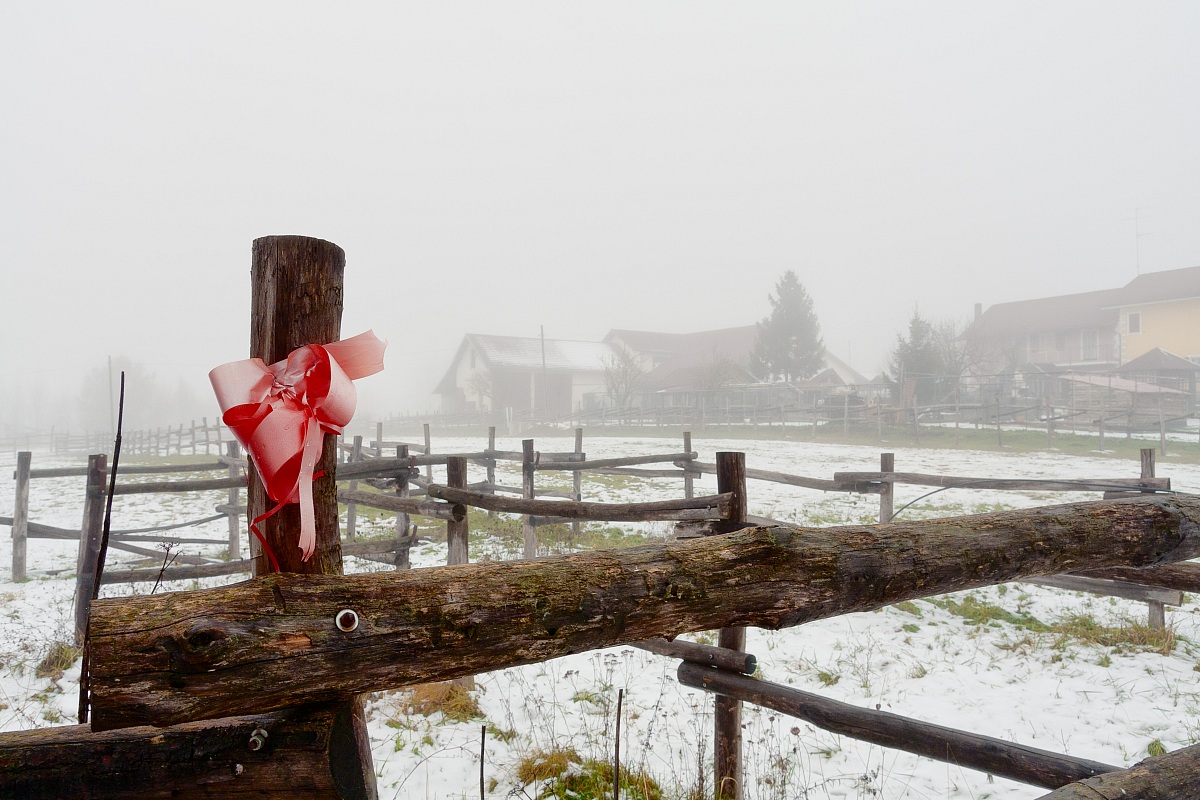 Trip to Sassello "Regional Natural Park of Beigua"
