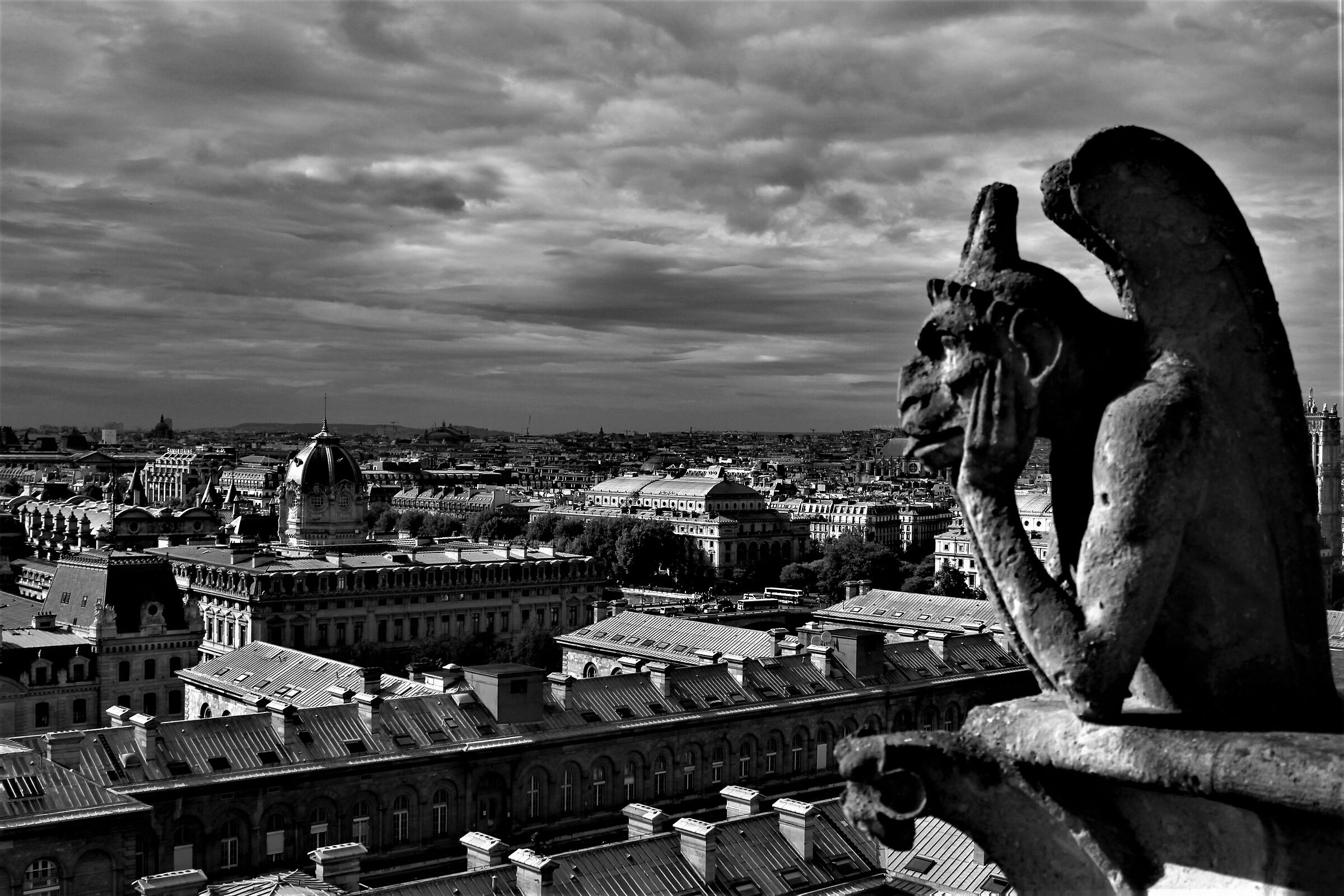 Pensieroso su Parigi