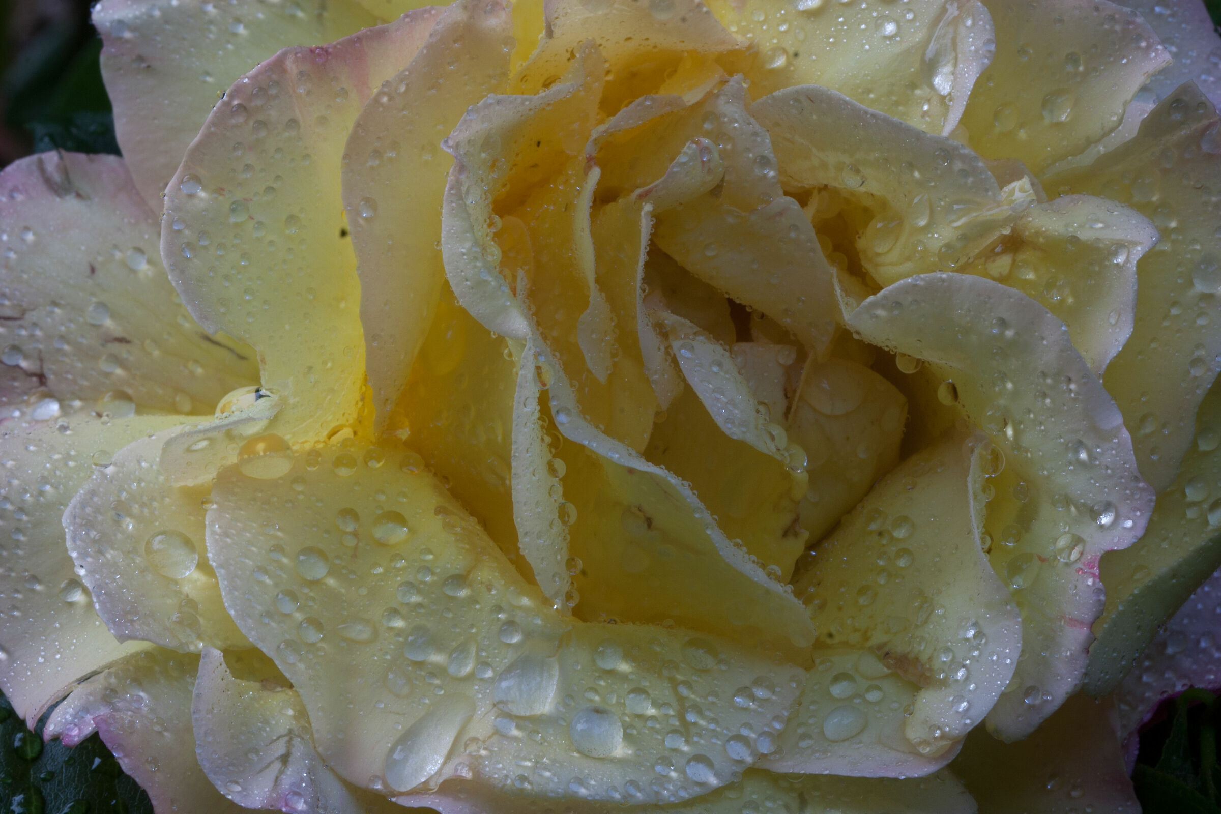 A thought for you friends, Happy Easter.