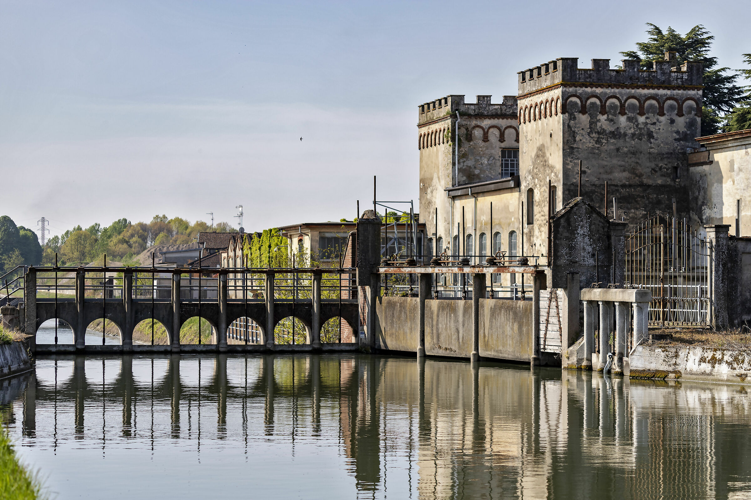 A swallow does not spring