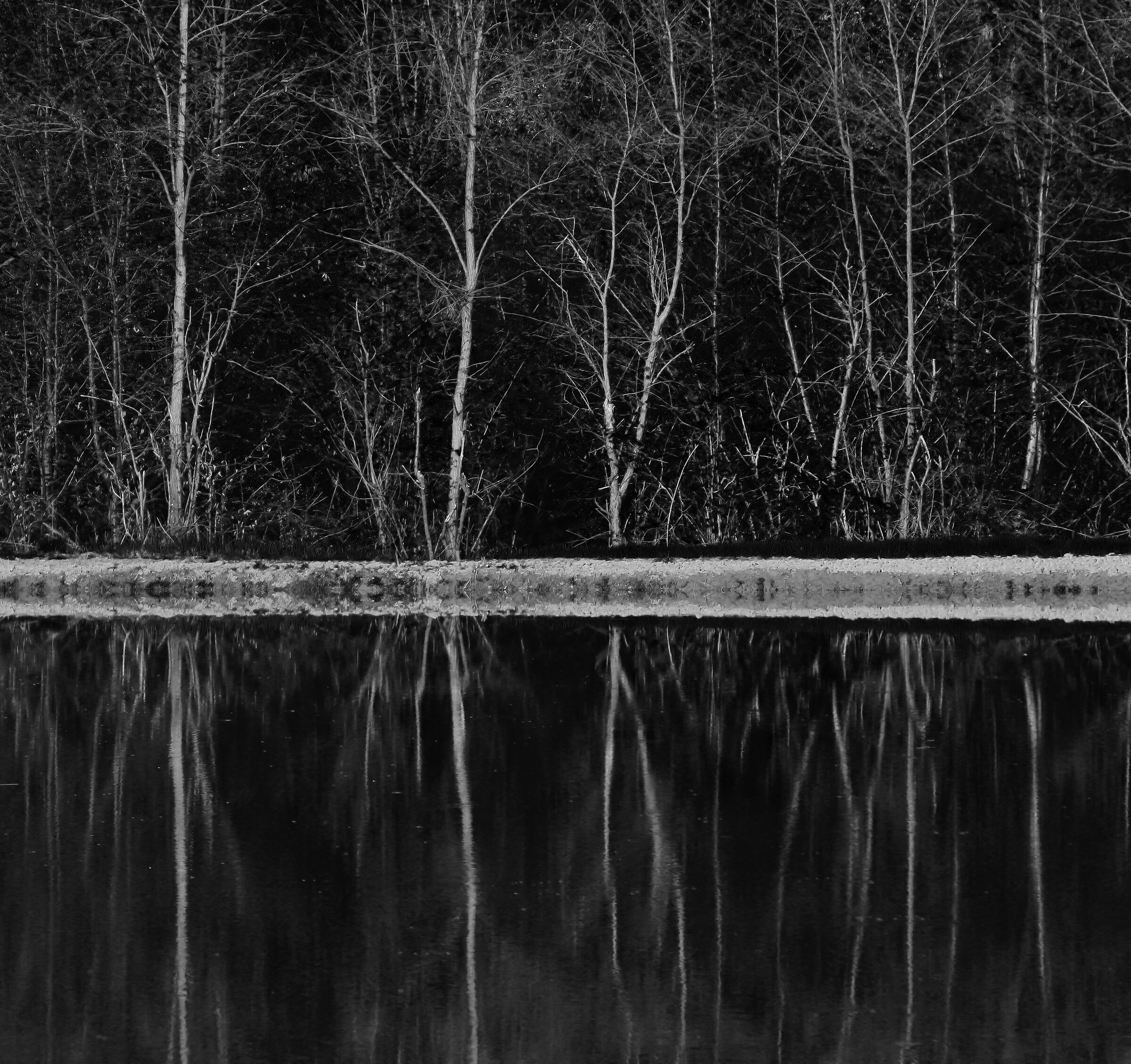 Black and white Reflections