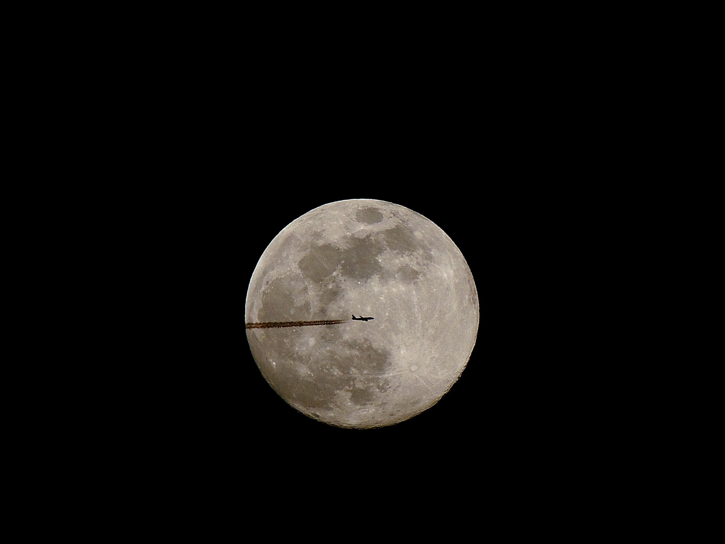 Moon Air Lines
