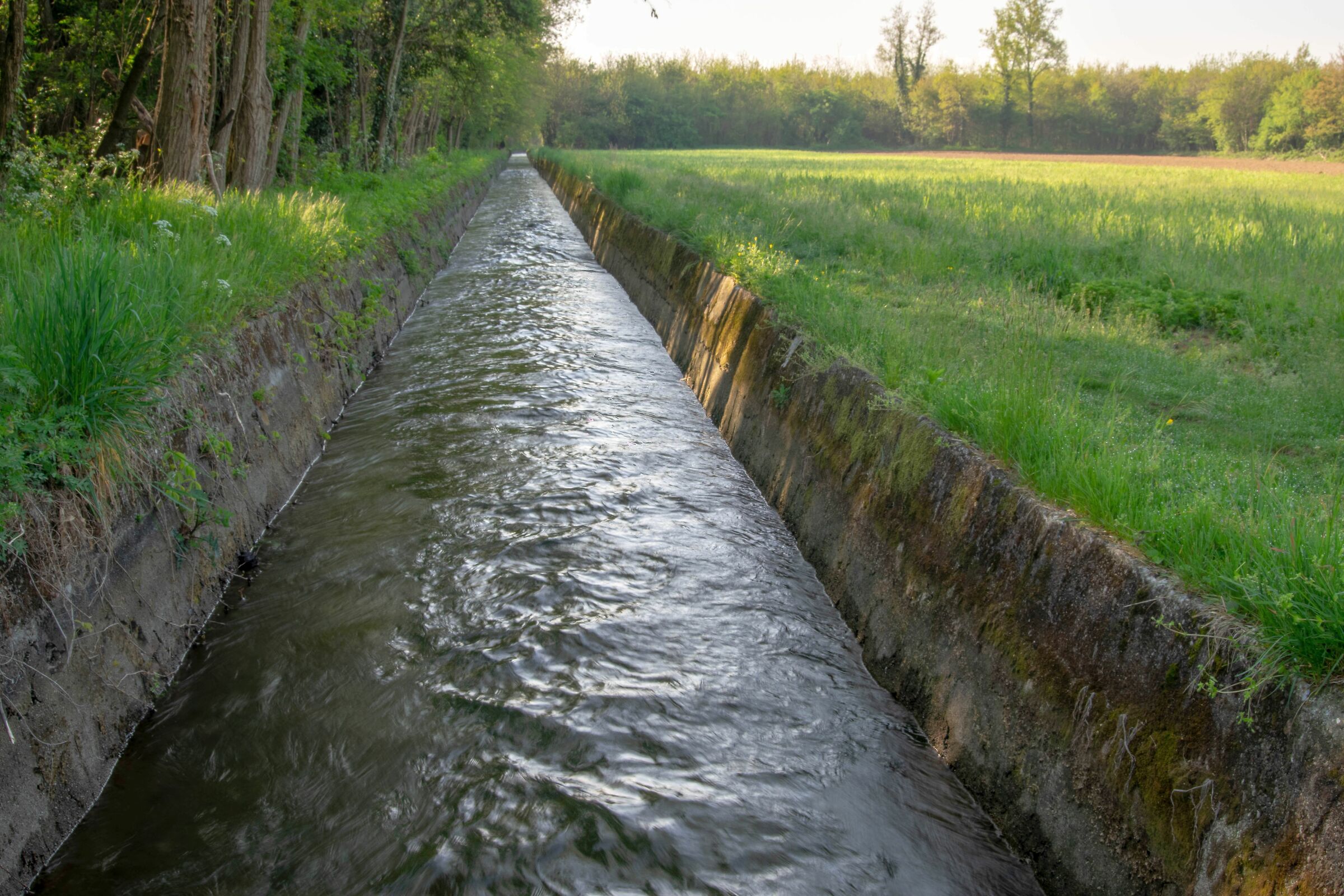 The water is there........